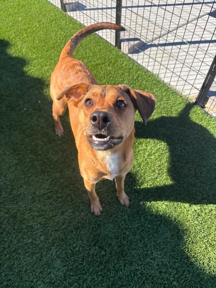 Geometric drawing of an outline square with sections divided by vertical, horizontal, and diagonal lines.