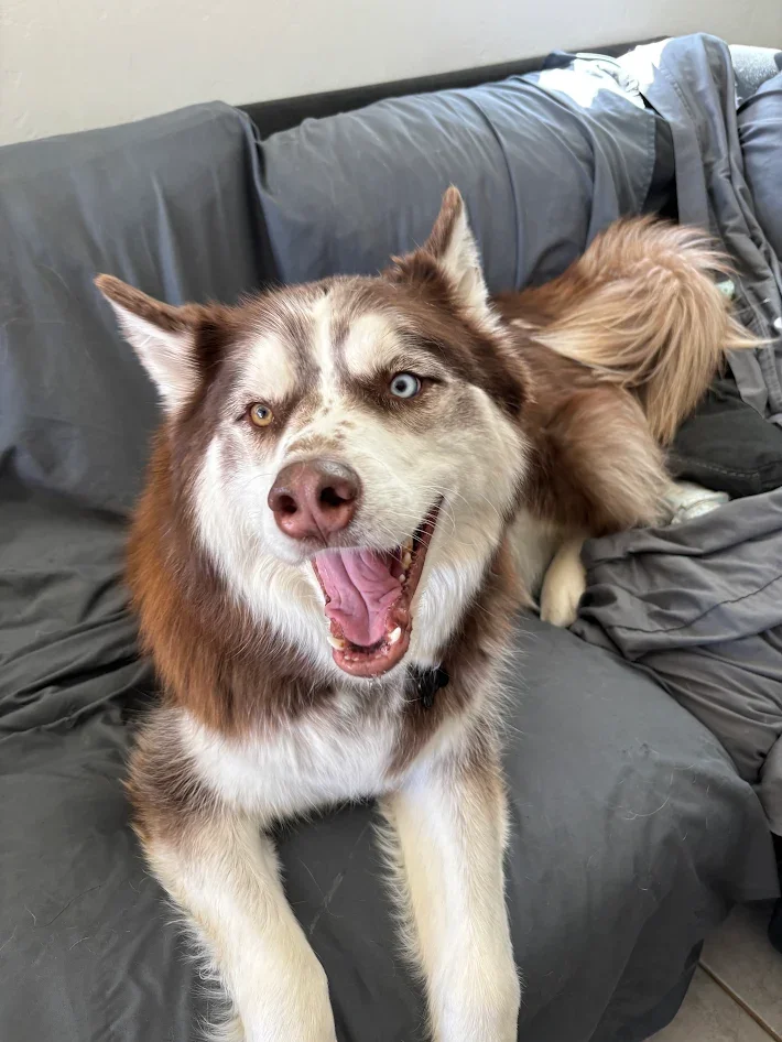 Geometric drawing of an outline square with sections divided by vertical, horizontal, and diagonal lines.