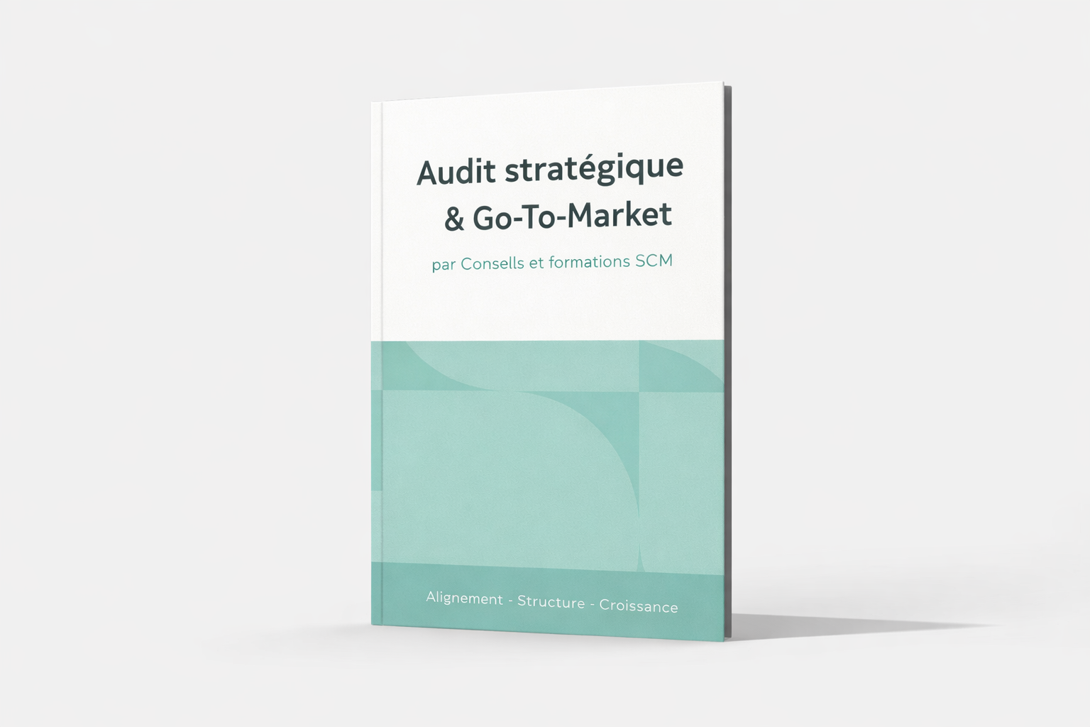 Un livre numérique d'audit Go To Market par
