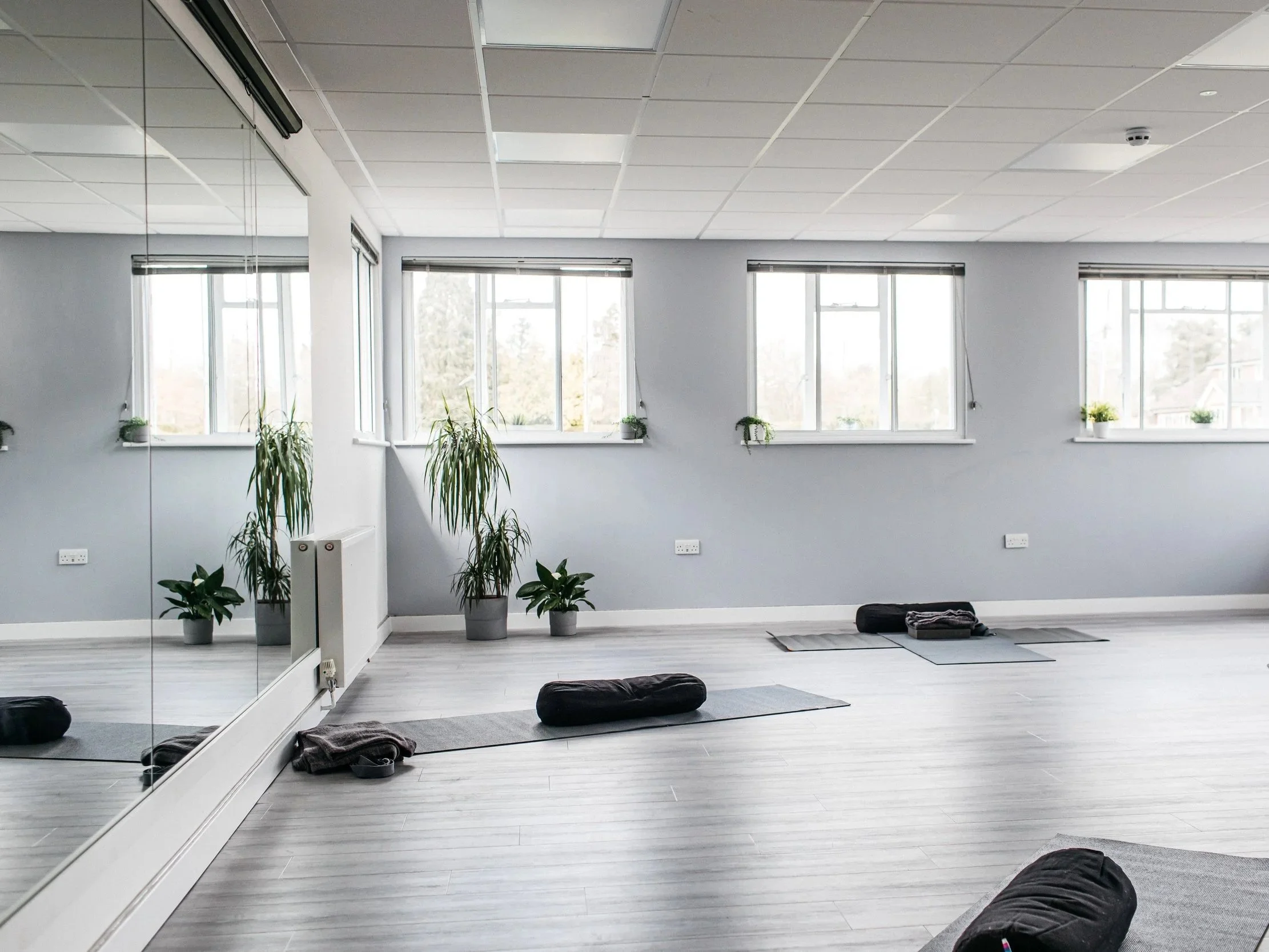 A bright, spacious yoga or fitness studio with gray flooring, light gray walls, and large windows letting in natural light. Several potted plants are arranged along the wall, and yoga mats are placed on the floor.