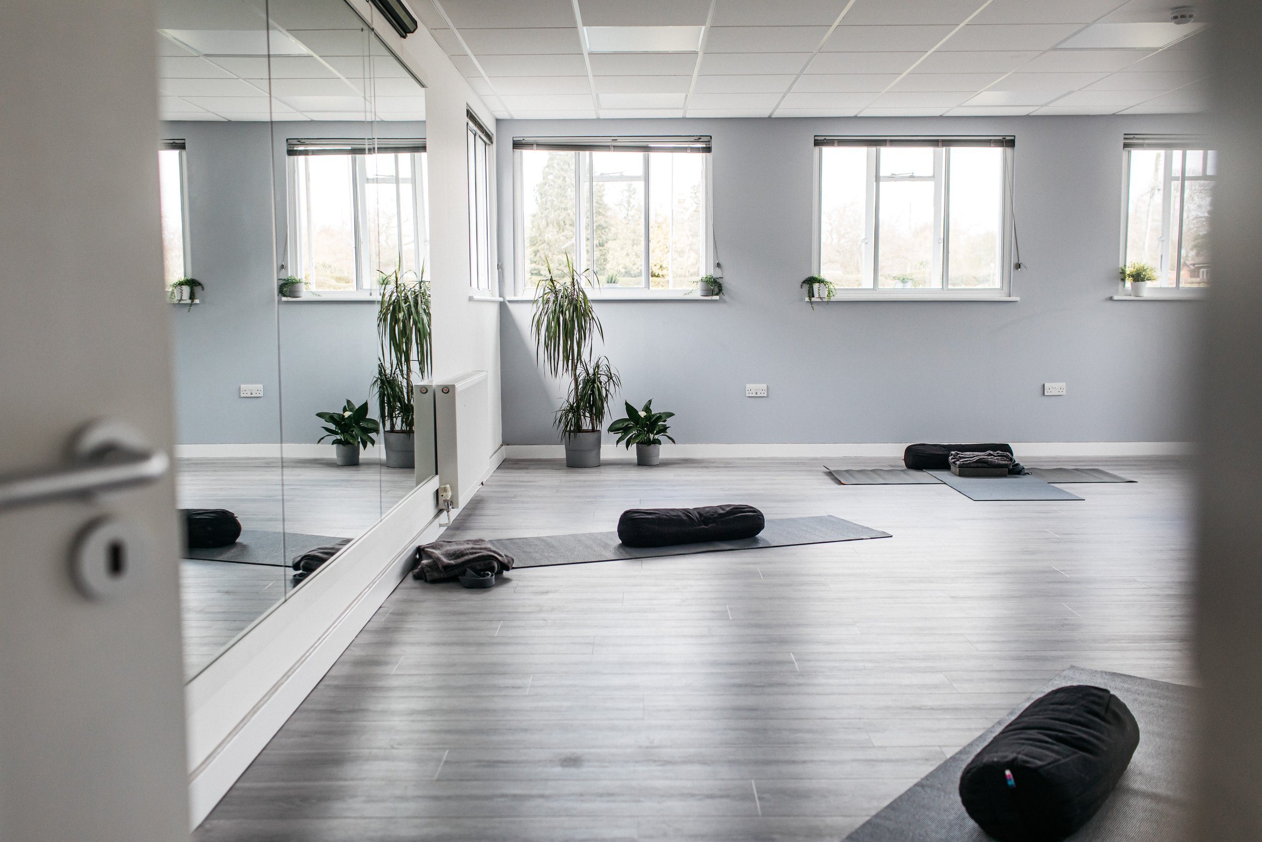 A spacious yoga studio with light gray walls, large windows, and a mirror on one wall. Yoga mats are arranged on the floor, and potted plants decorate the room.