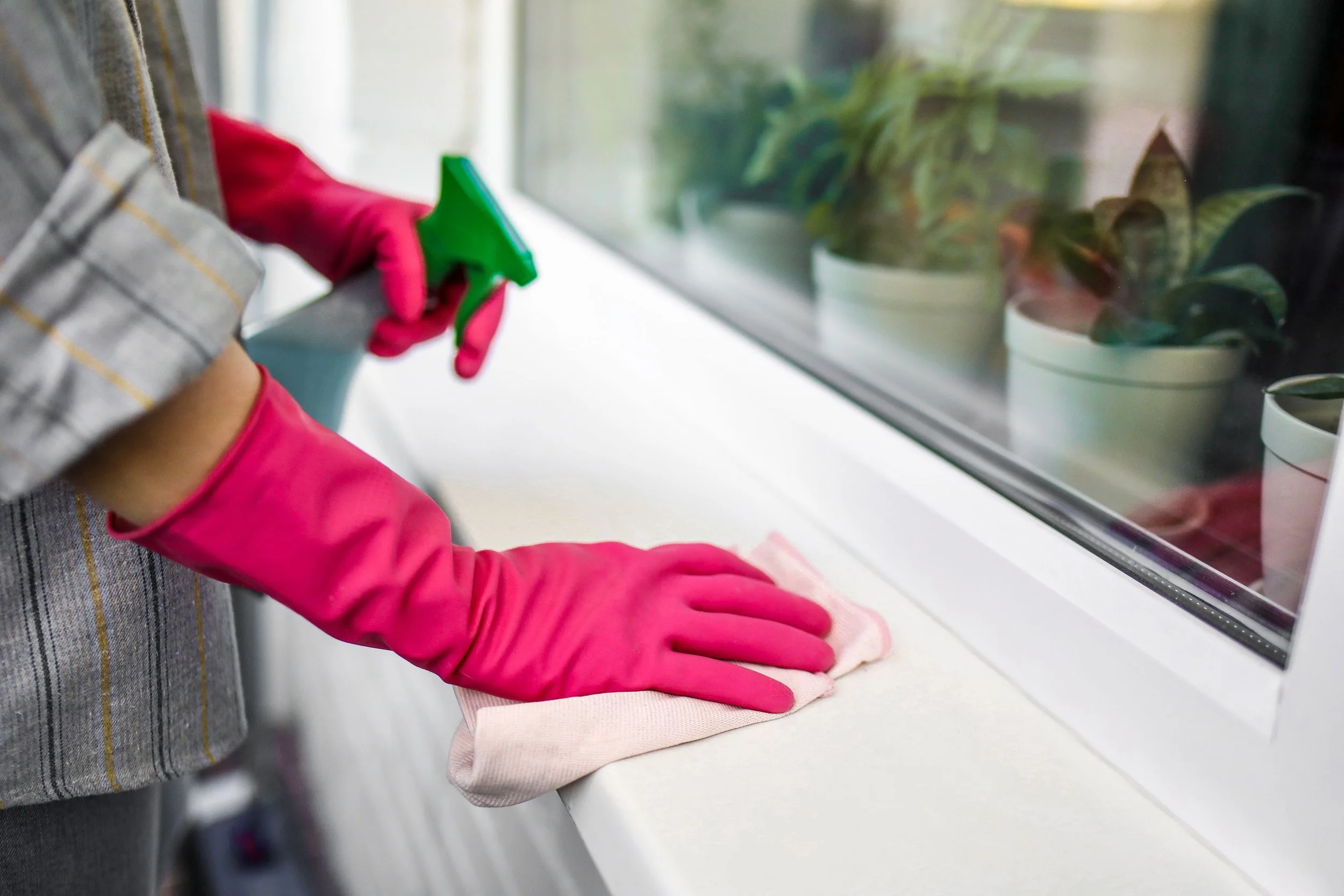 Sanitizer vs. Disinfectant: What's the Difference and When to Use Each