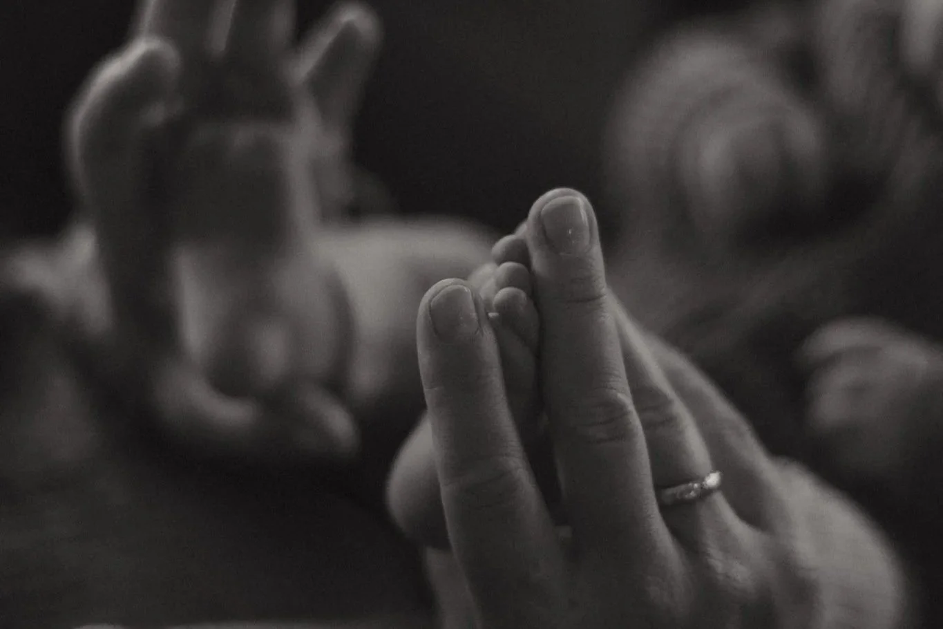 Newborn