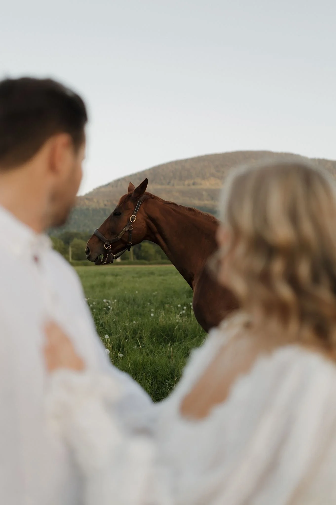 engaged-0431.jpg