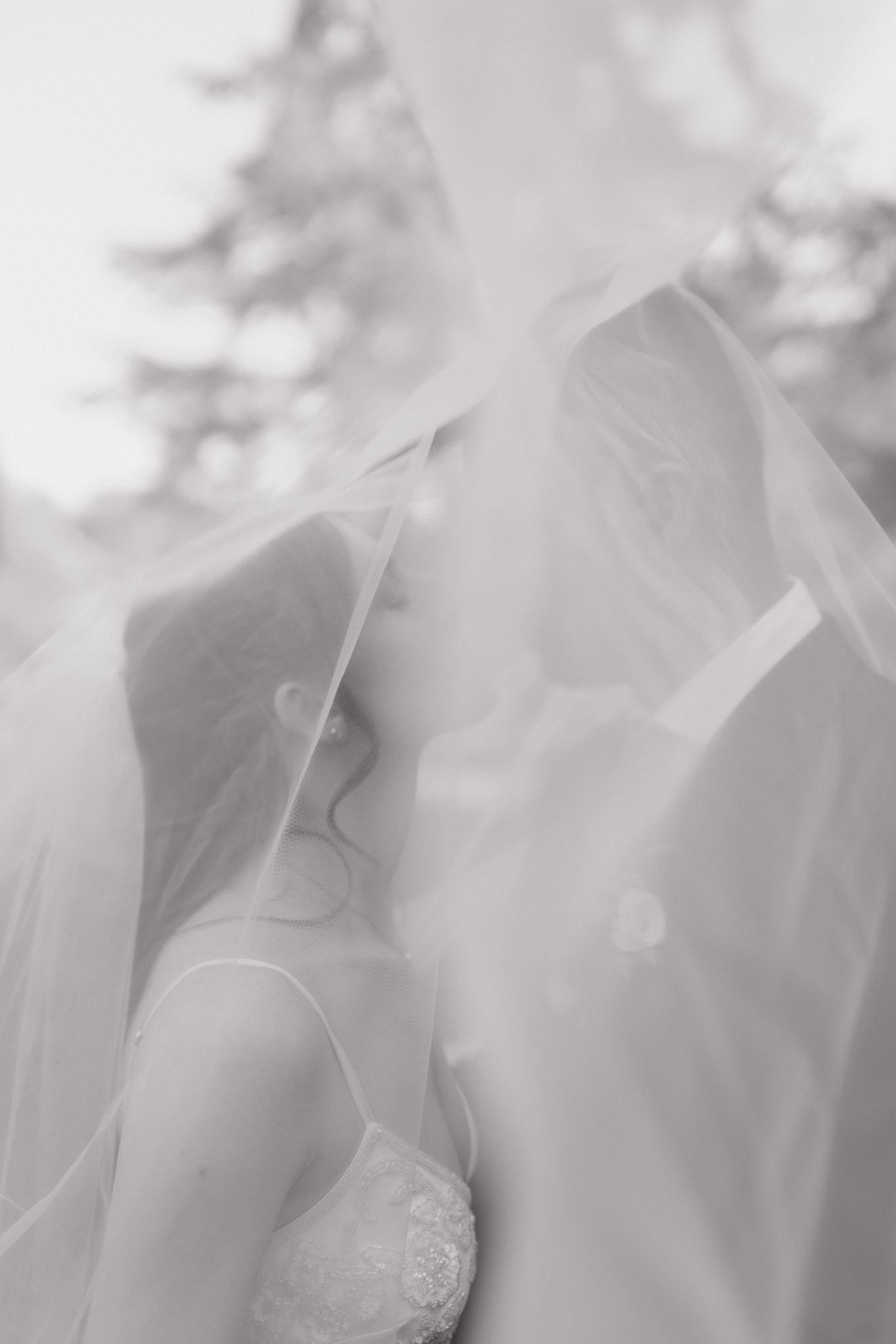 bridals-4413.jpg