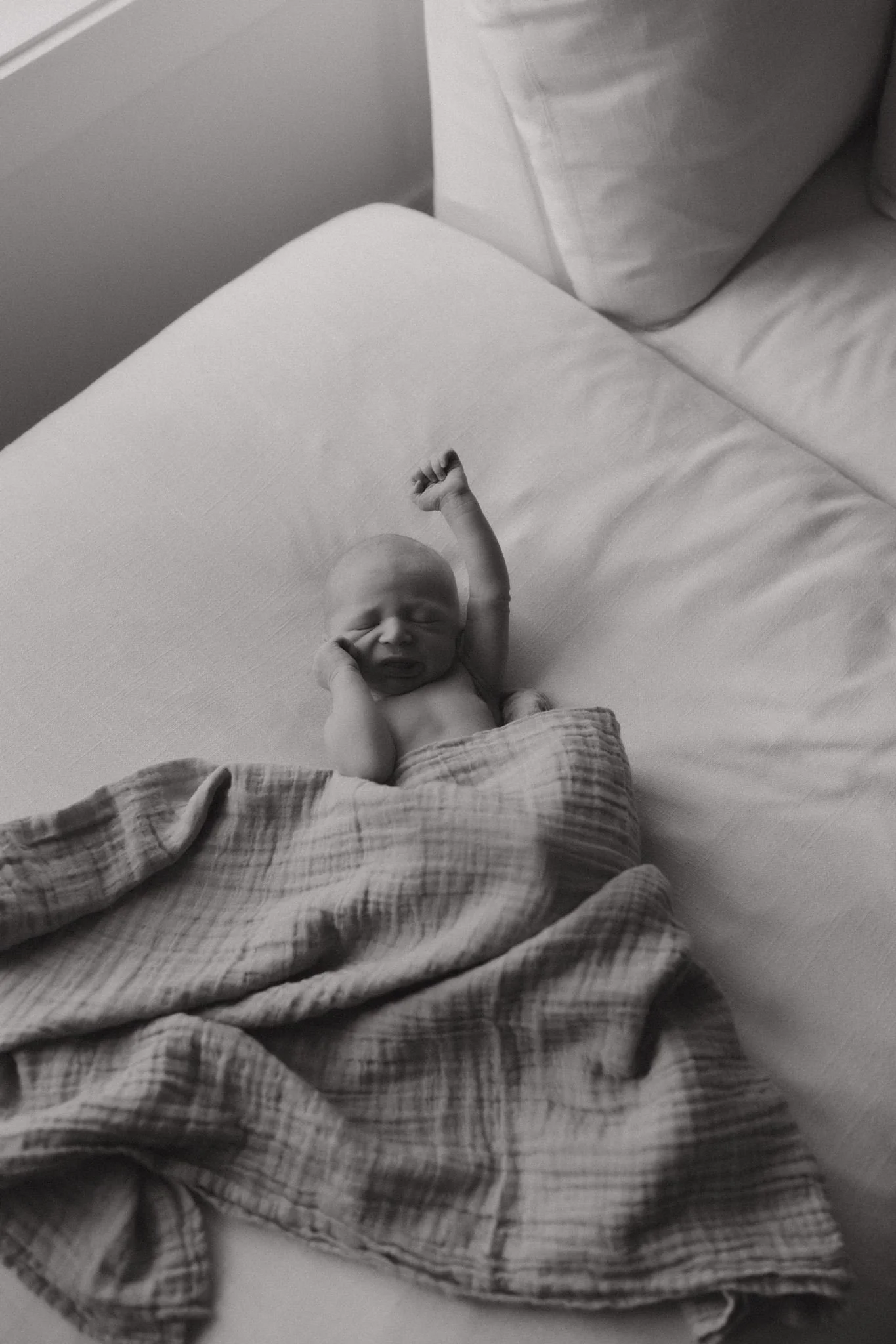 newborn-9892.jpg