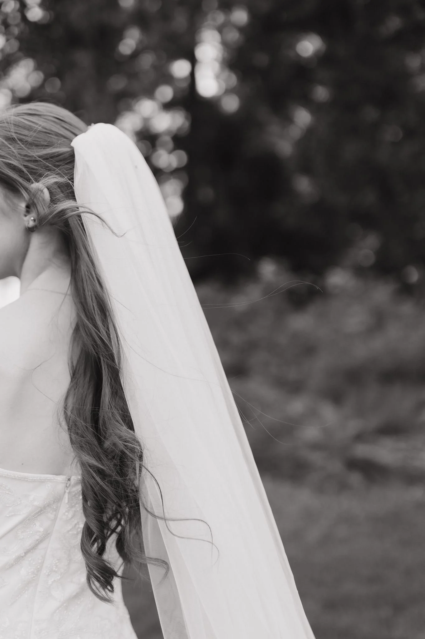 bridals-4497.jpg