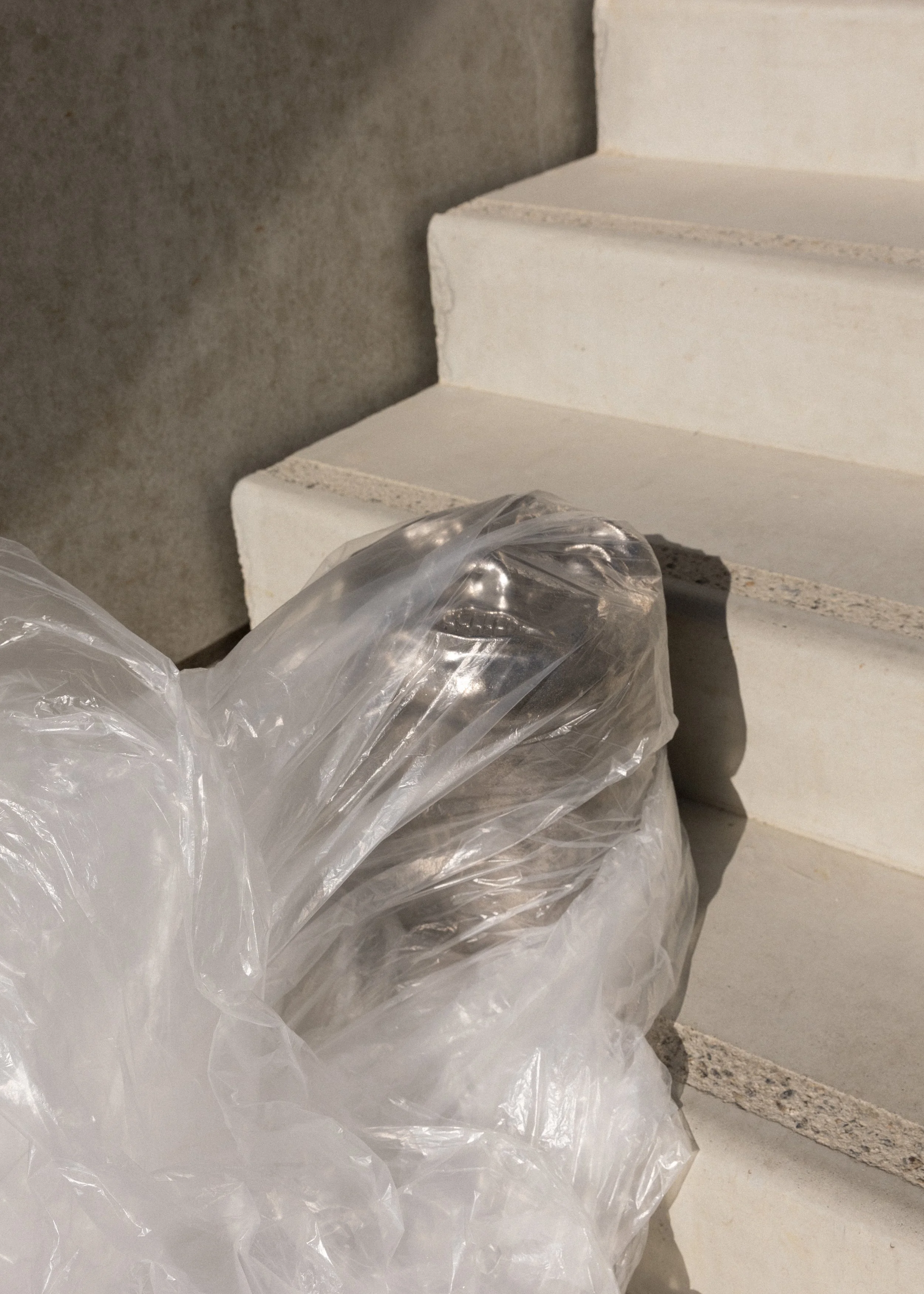 FUNDAMENTALSYMBIOSIS-escalier-4.jpg