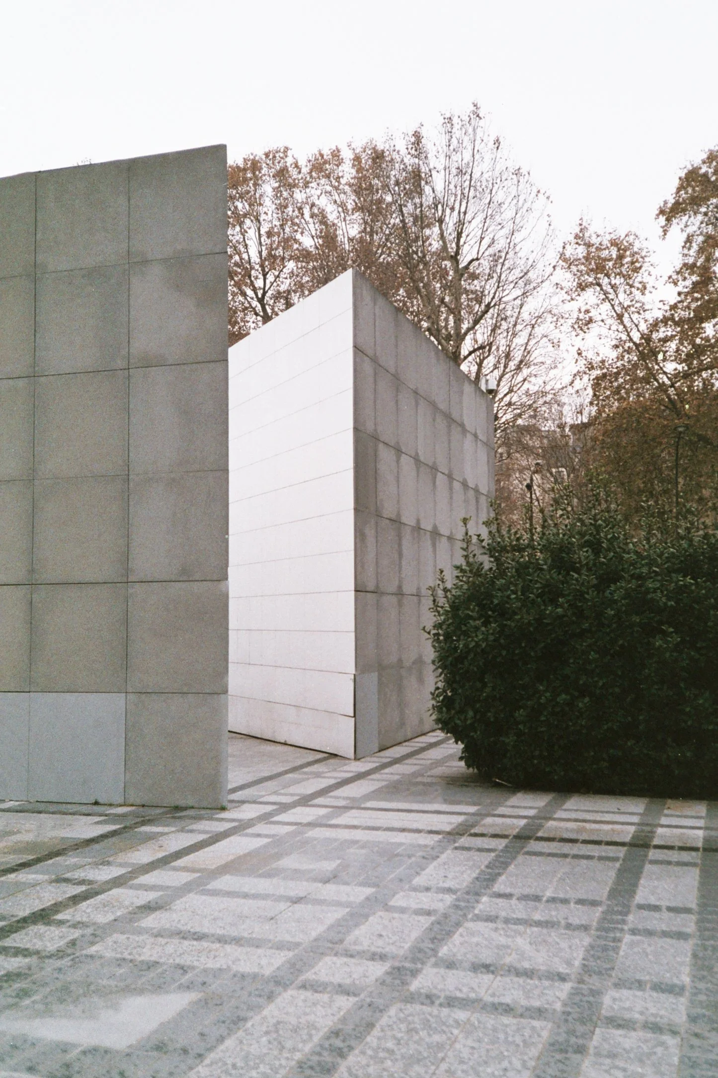 Vue d'une façade moderne en béton gris clair avec des massifs de végétation et un sol pavé en motifs géométriques.