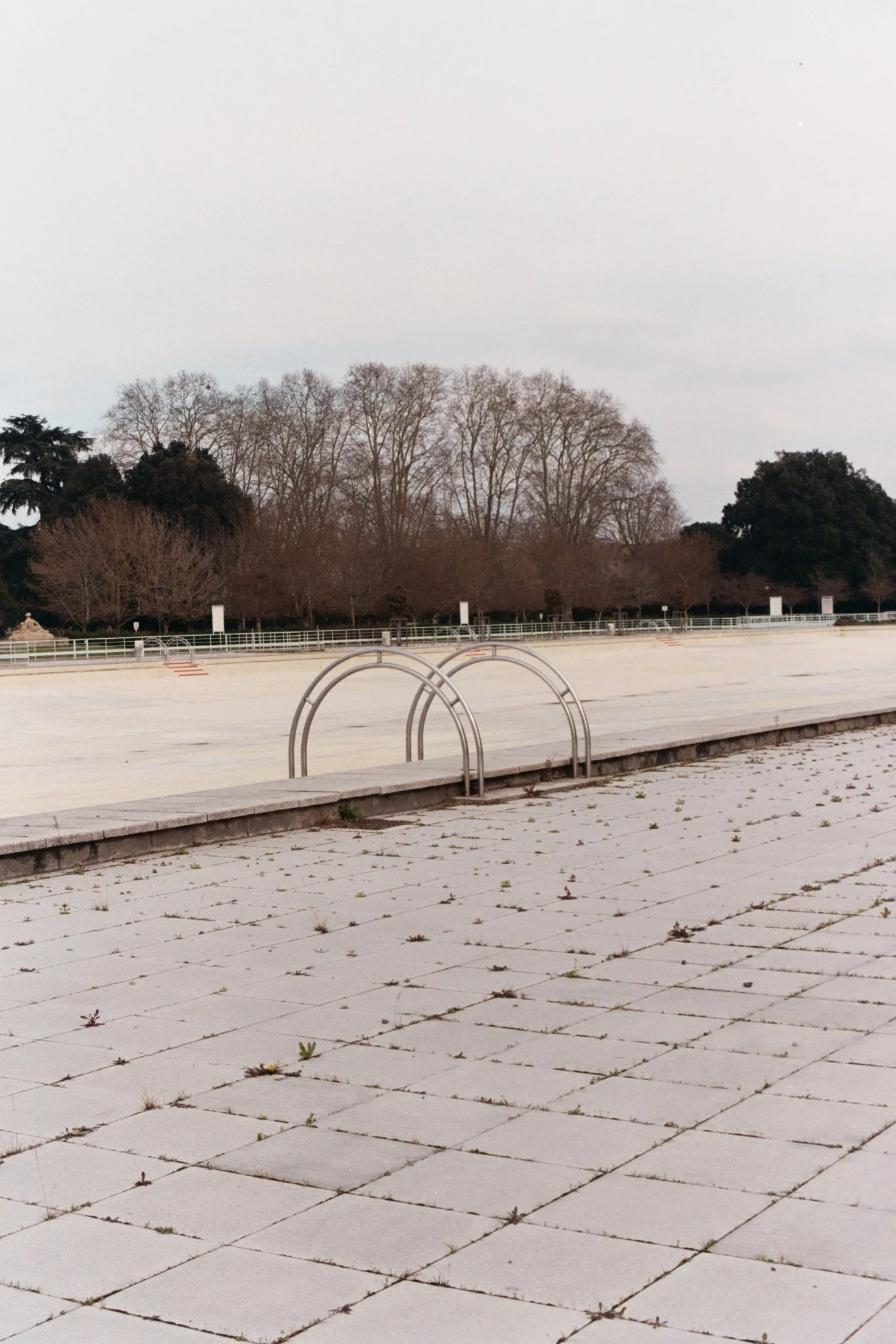 Une surface pavée avec des graffitis et des plantes poussant entre les dalles, en arrière-plan un groupe d'arbres sans feuilles, le ciel est gris.