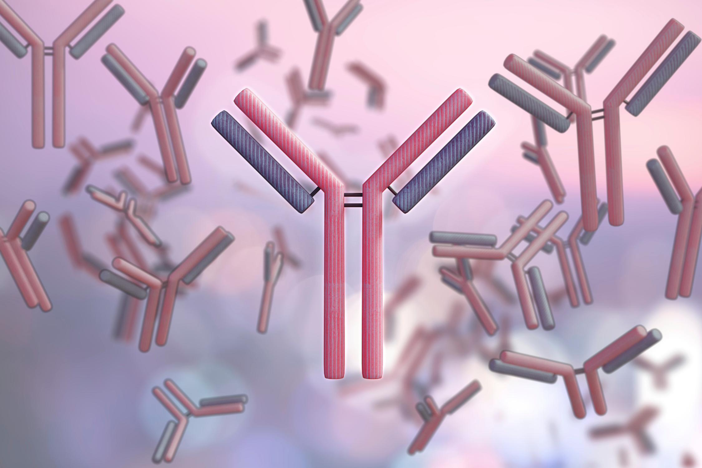 Illustration representing antibody-based immunoassay design and early-stage IVD feasibility assessment.