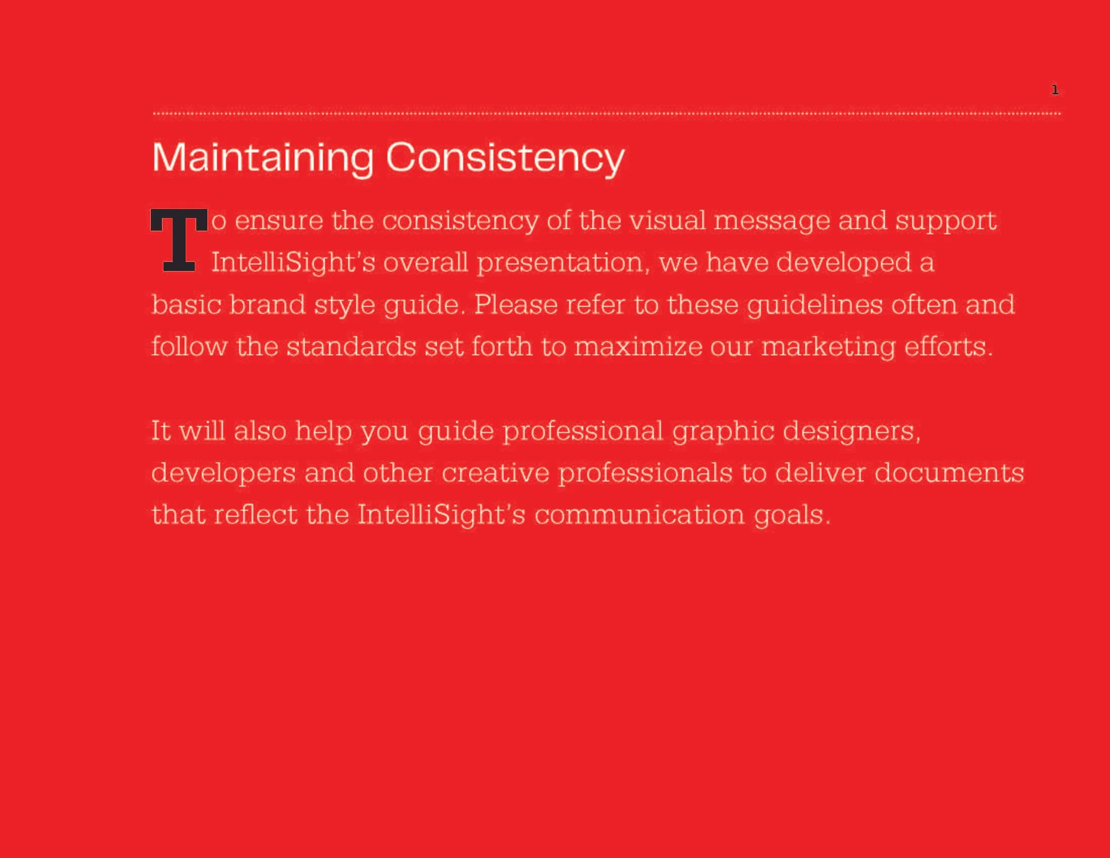 Brand Guidelines_IntelliSight_Page_03.jpg