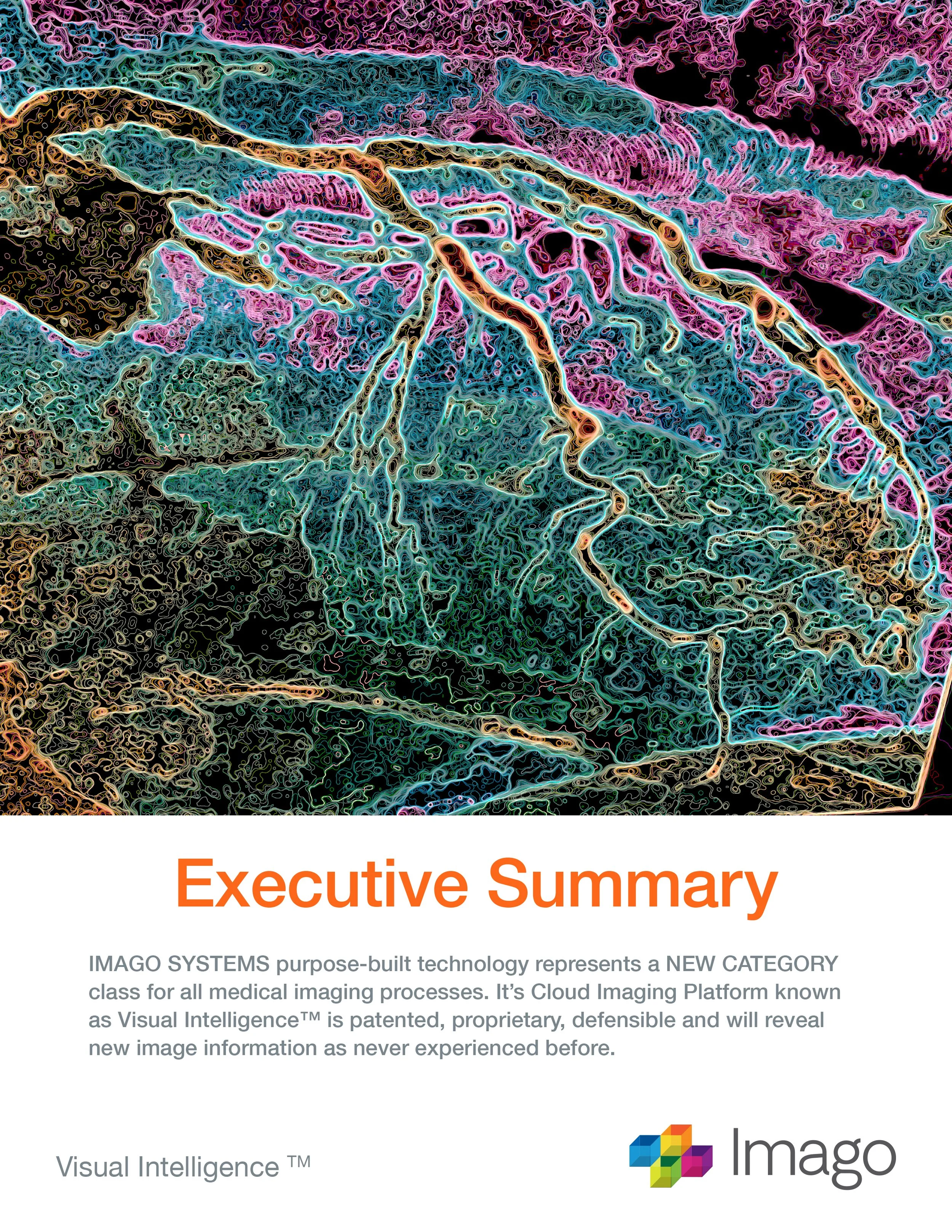 Imago Executive Summary-2-1.jpg