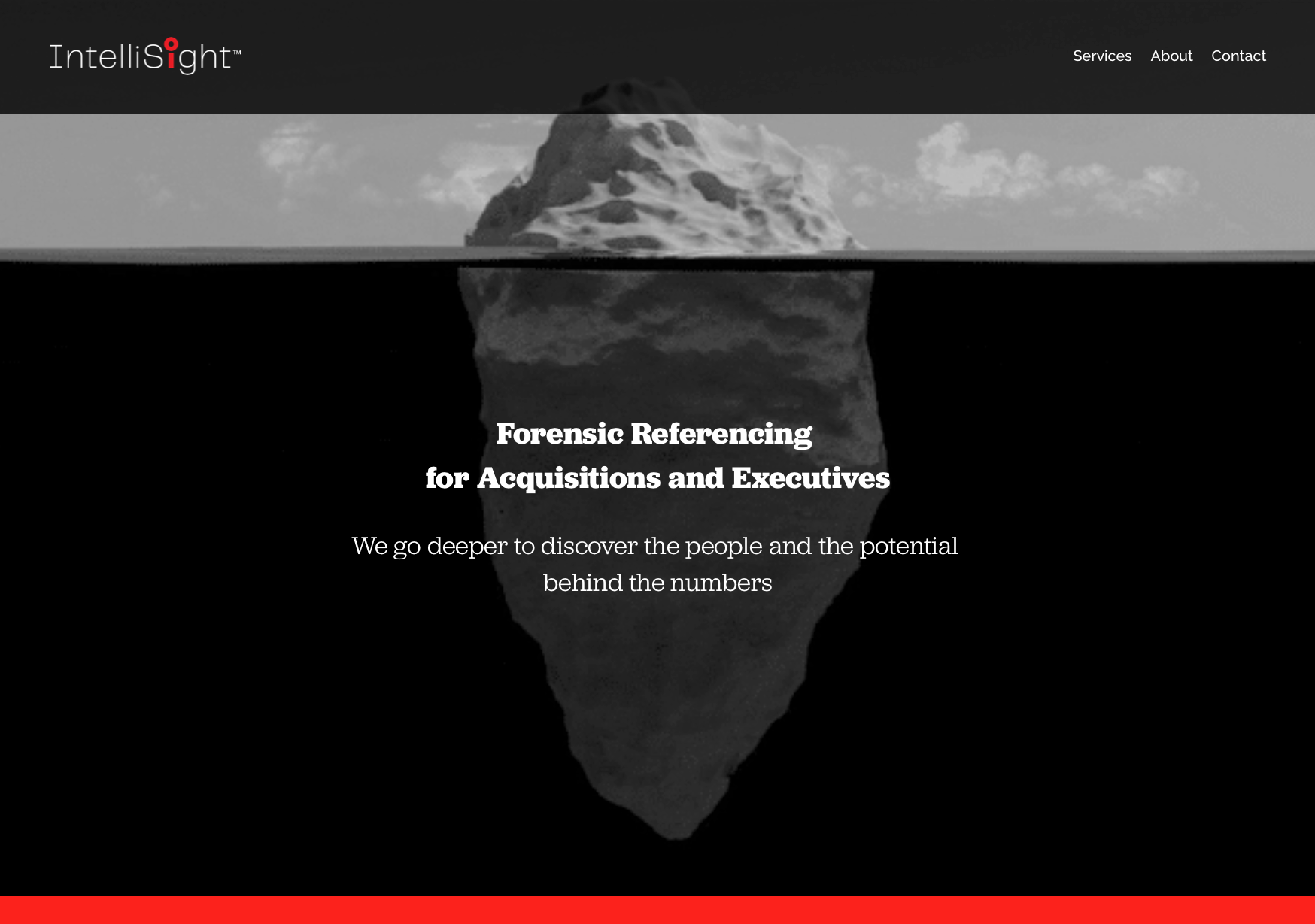 Intellisight Web.png