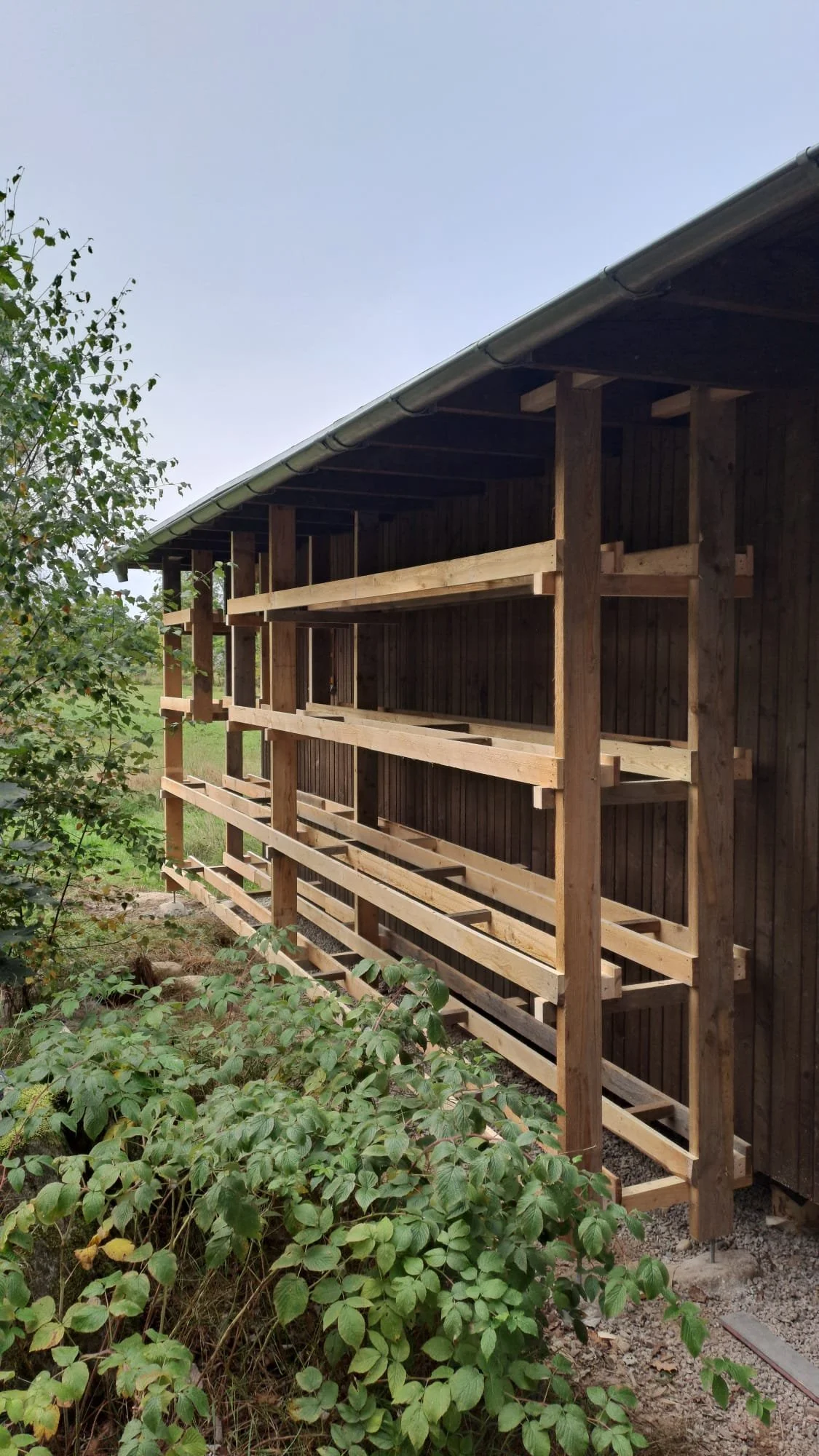 Houten balkonconstructie wordt gebouwd aan de zijkant van een houten huis, omgeven door groene planten en struiken.
