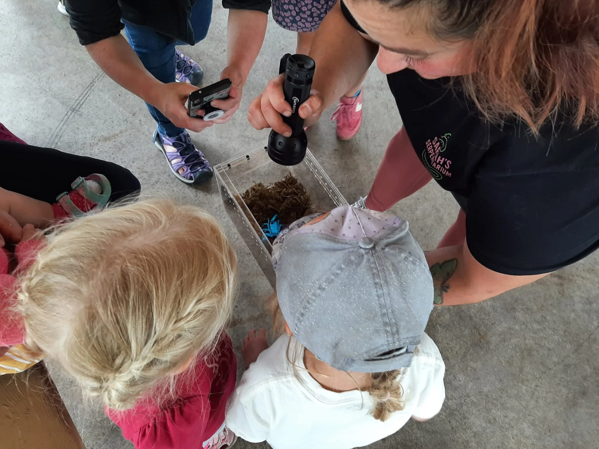 A woman shows children a small scorpion inside a clear plastic tank with moss. The children observe closely, one taking a photo with a phone, while the woman uses a blacklight to examine the animal.