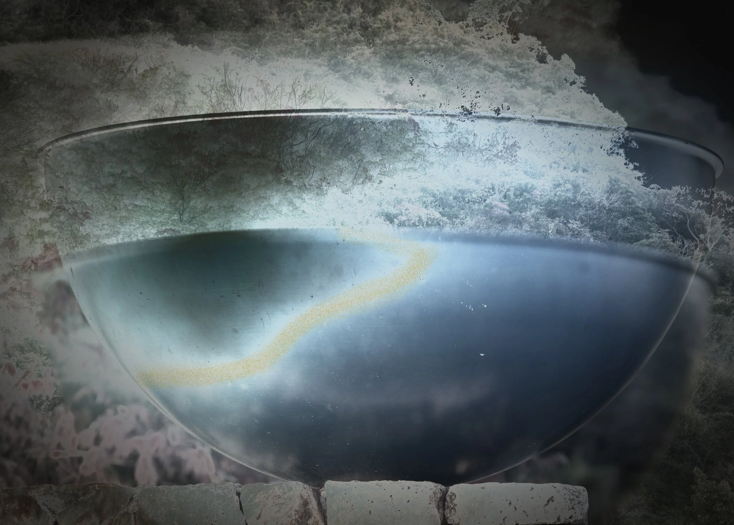 Offering: 13" x19" $200 unframed