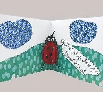 Good Luck Ladybug card

