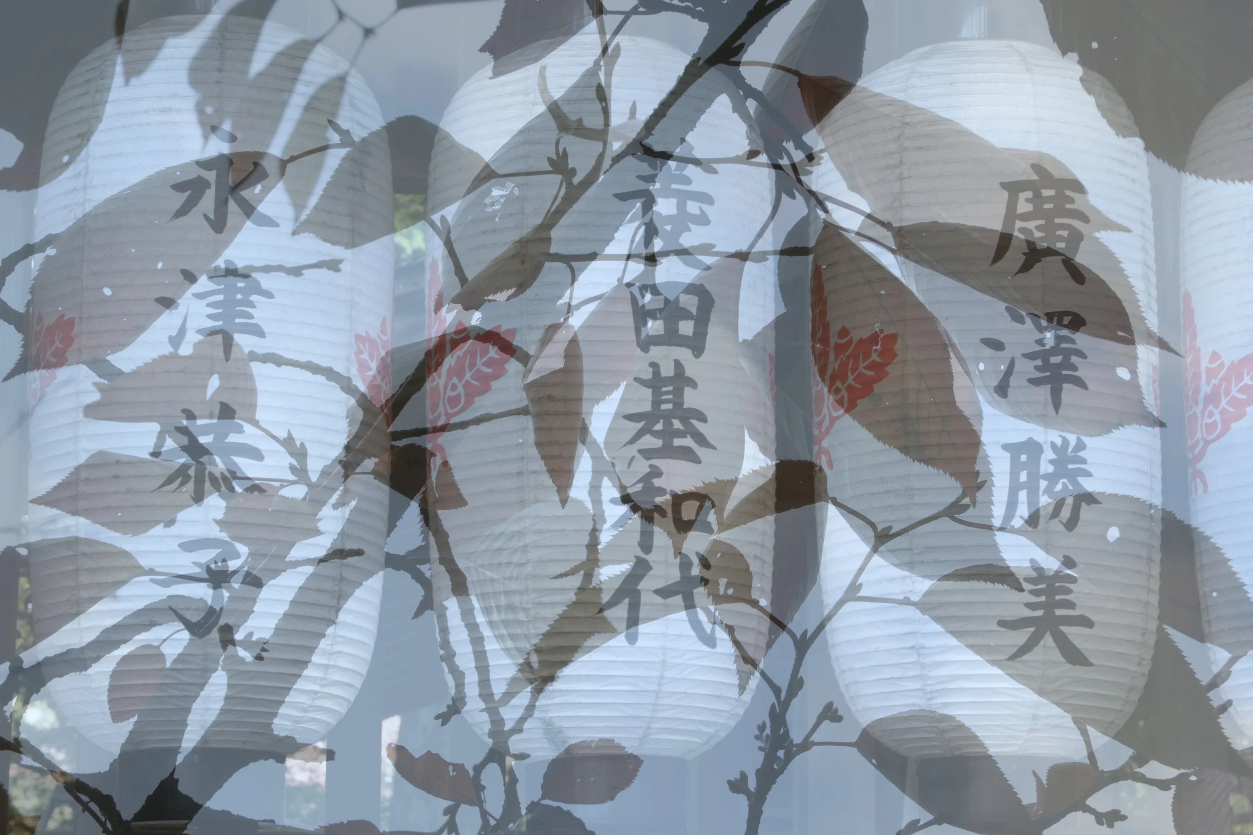 Japanese Lanterns: 13"x19" $200 unframed