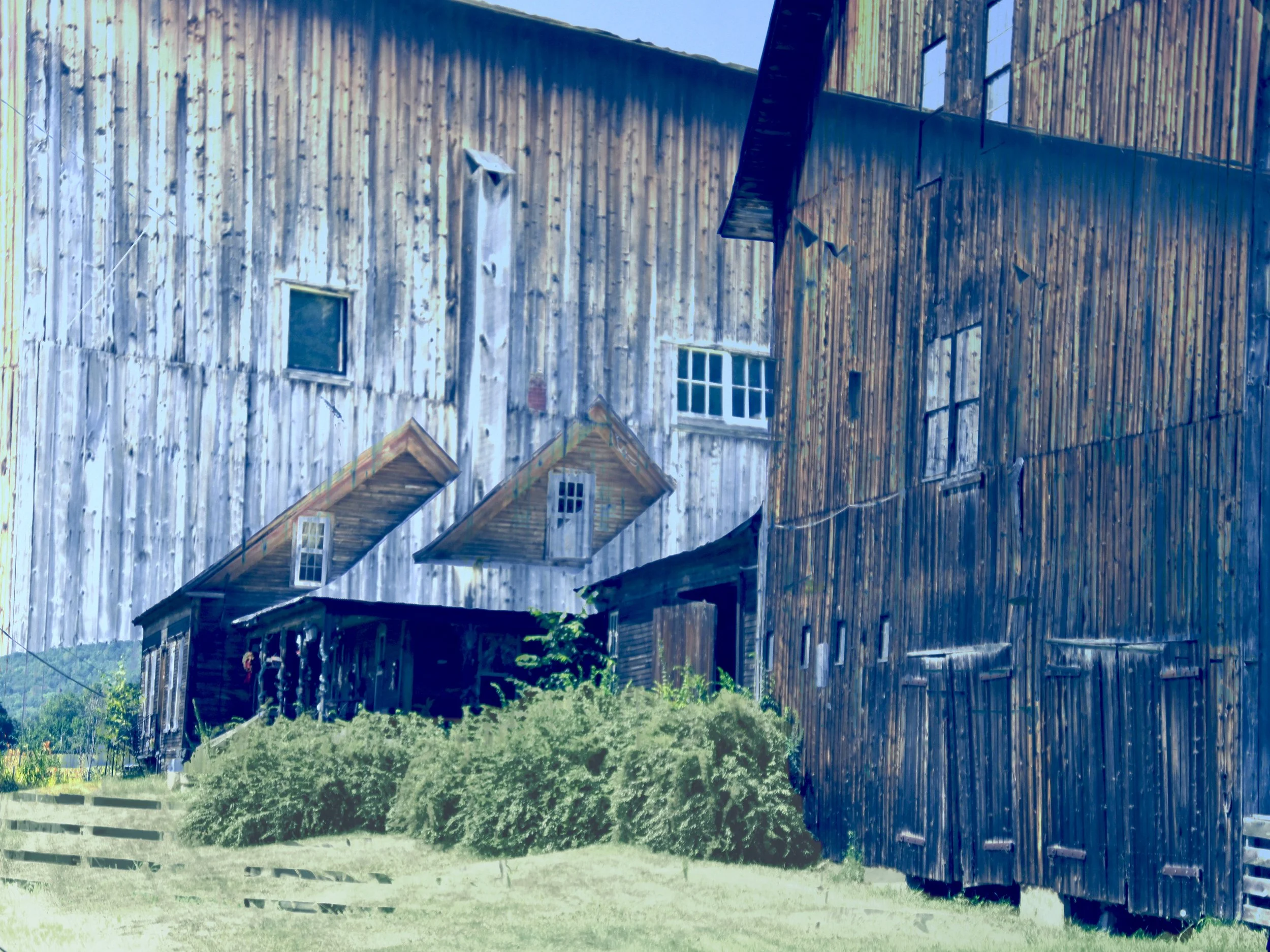 Vermont Barns 13"x19" $200 unframed