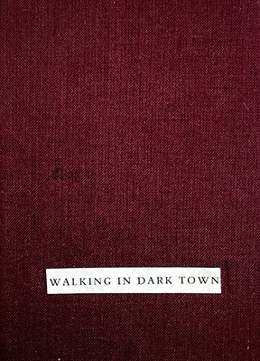  A Book of monoprints, collage and ink