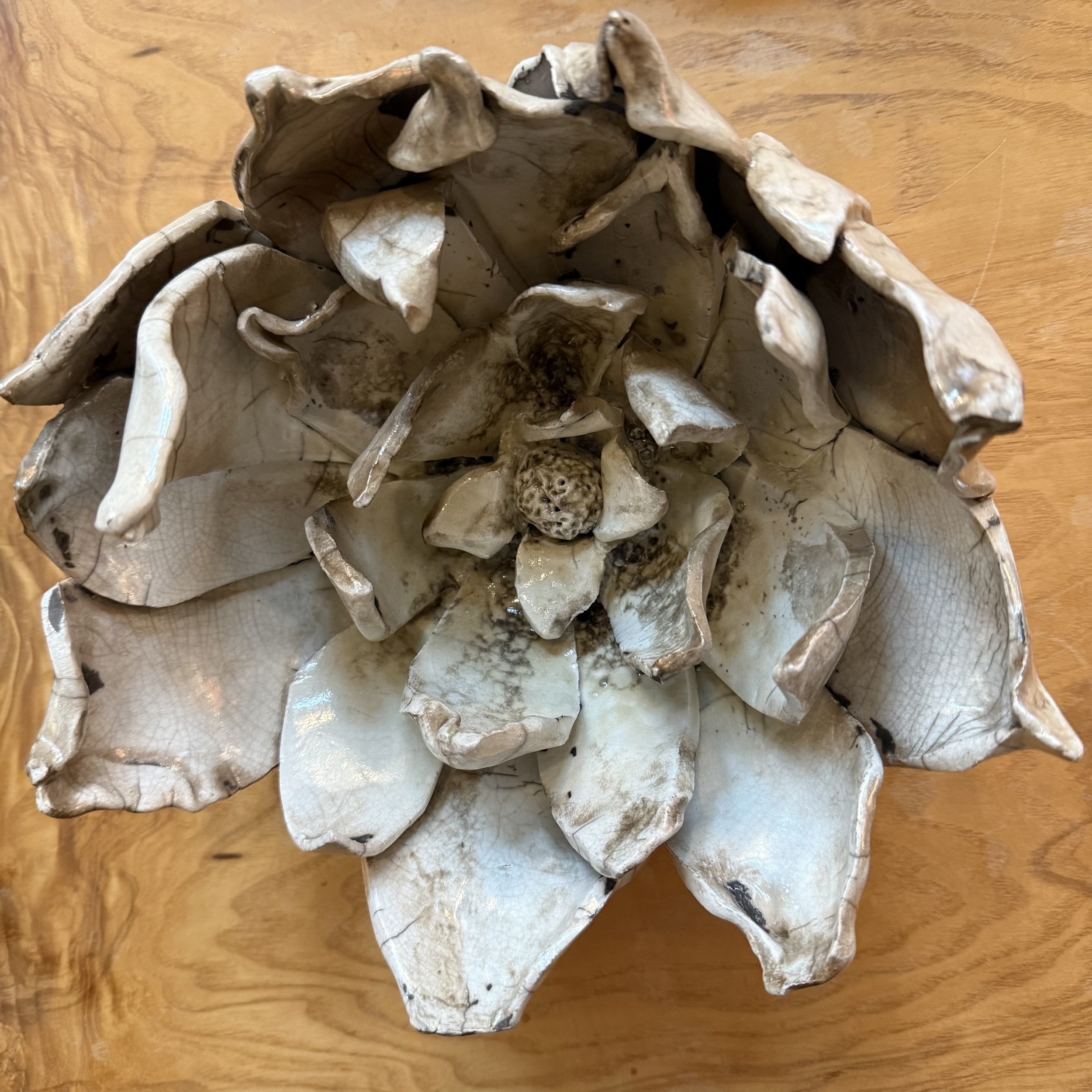 Lotus: clay $150 12" x 12"