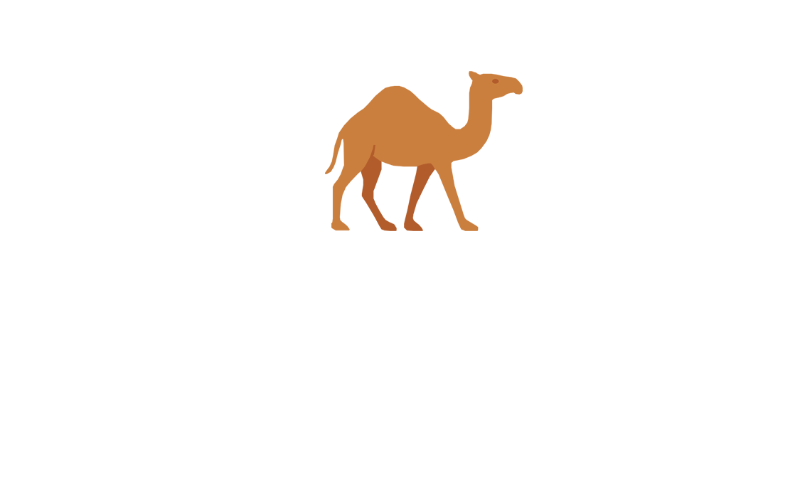 Little Camel Films