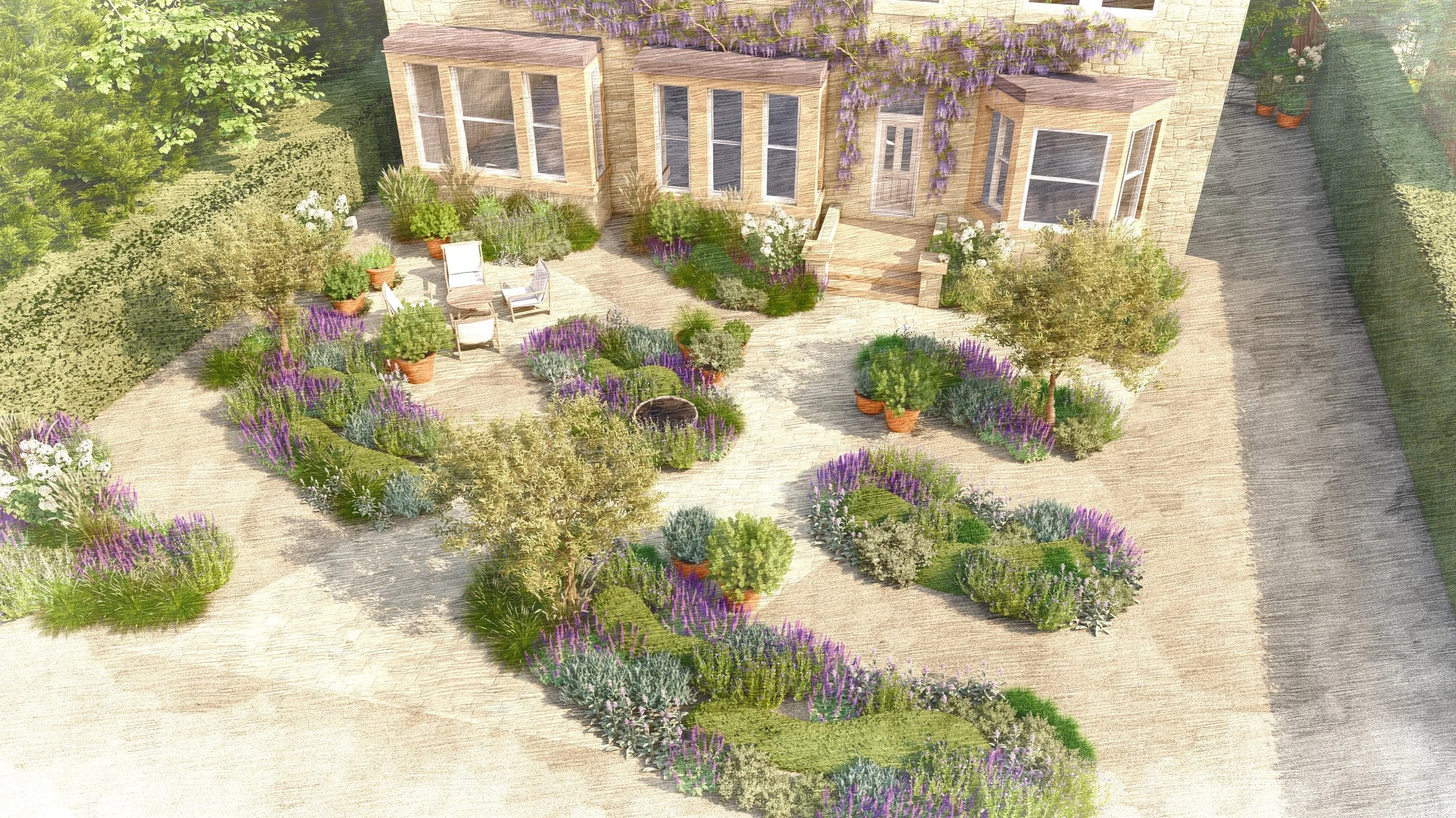 Structured and naturalistic planting creating a balanced garden with olive trees