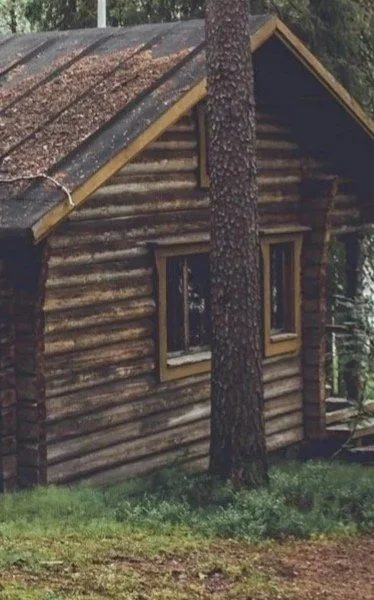 Wooden cabin in a forest with trees and grass