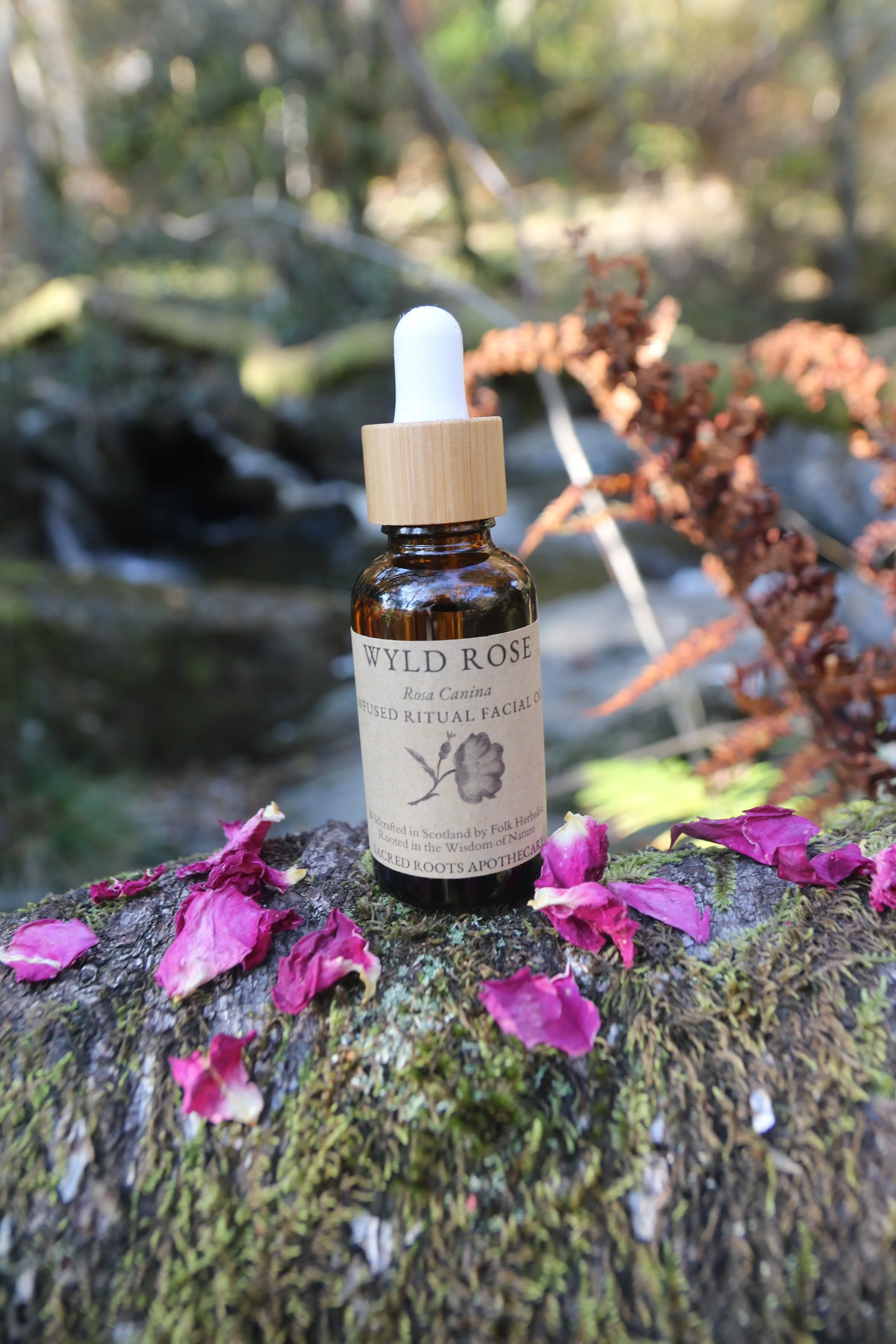 Wyld Rose Oil