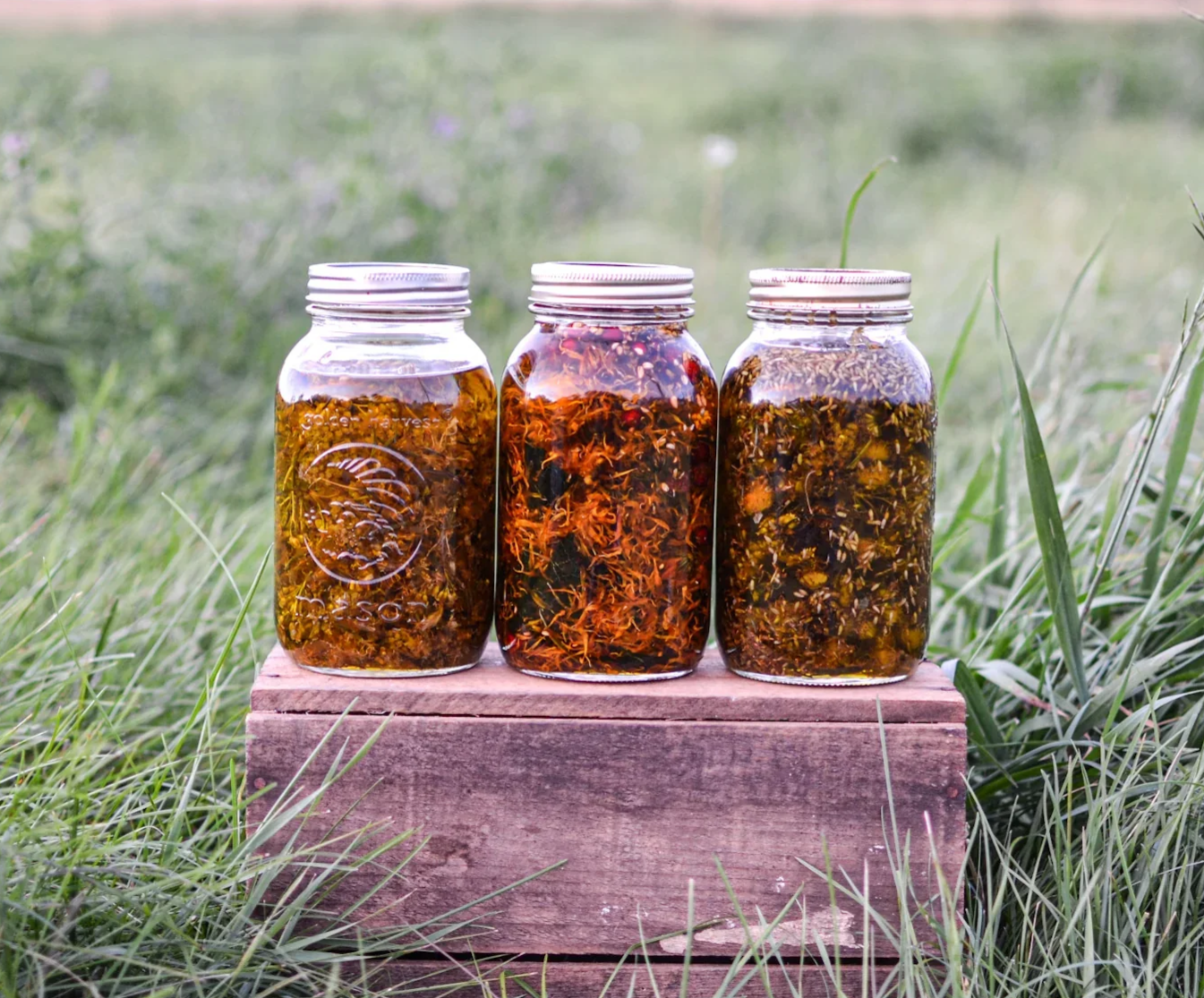 Three glass jars containing herbal infusions or teas, placed on a wooden platform outdoors in grassy area.