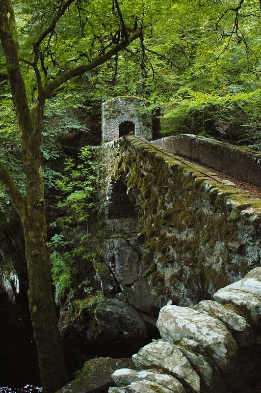 A moss-covered stone bridge leading to an old stone structure surrounded by dense green trees in a forest.