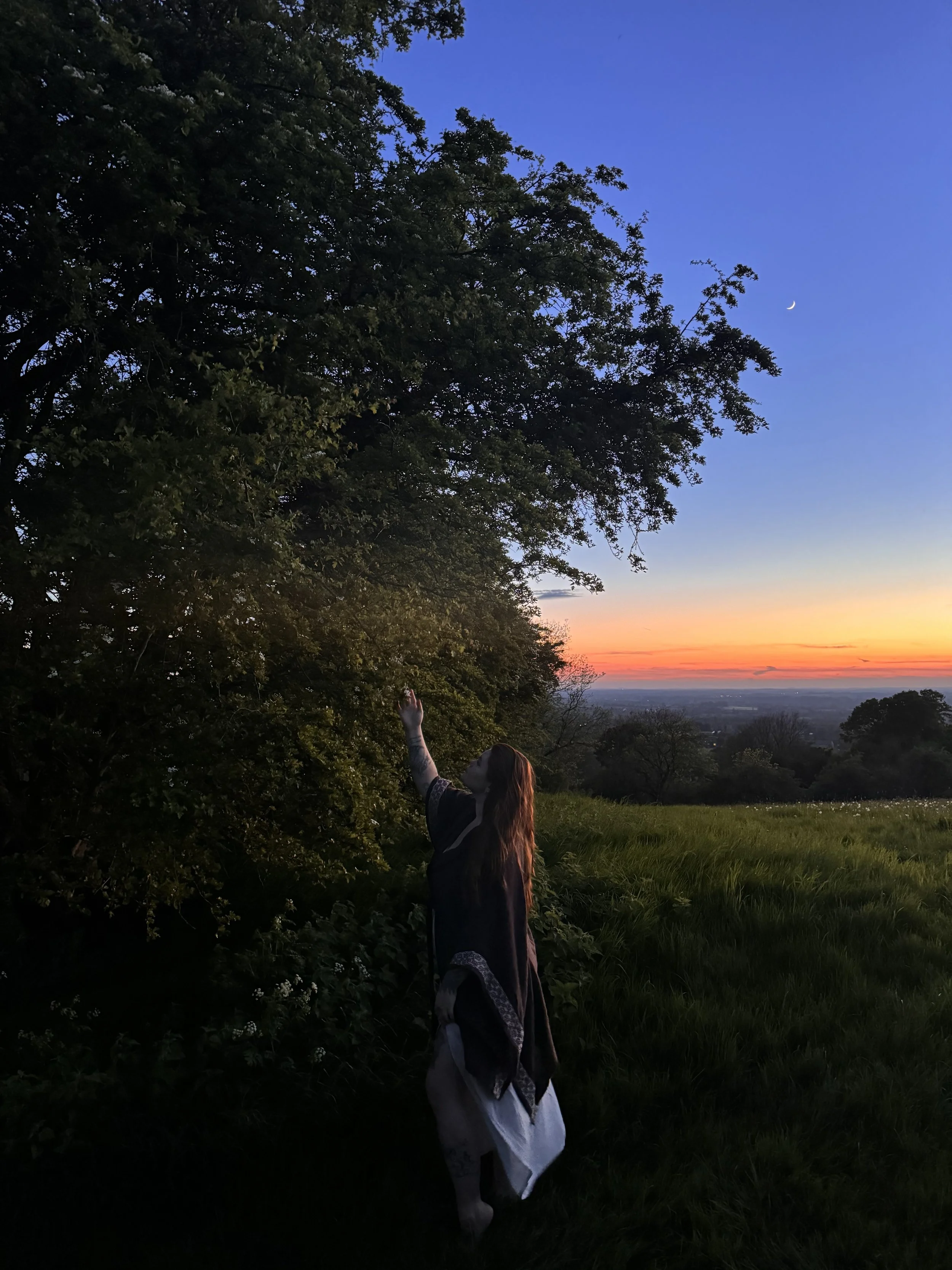 A woman with long hair standing in a grassy field near trees during sunset, reaching up toward the branches of a large tree, with a partially visible moon in a colorful sky.