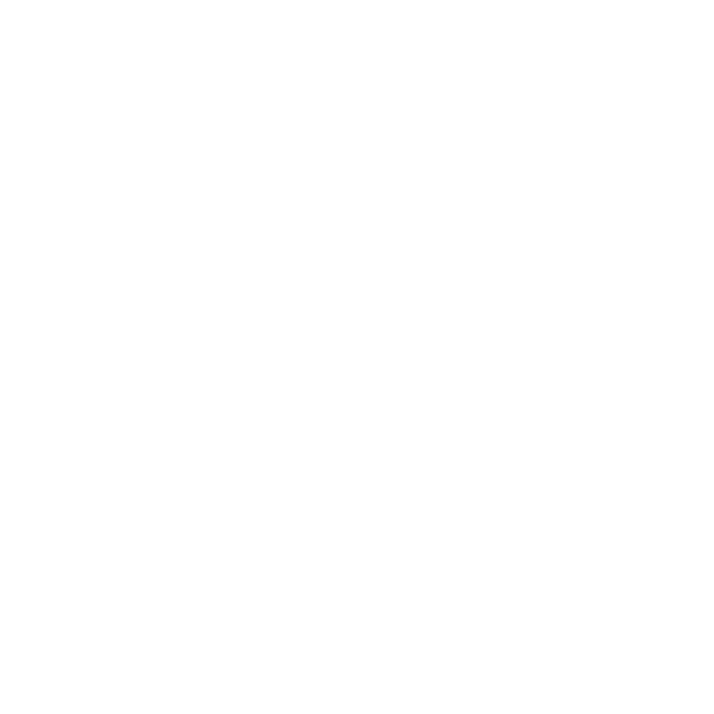 custom_icon-settings