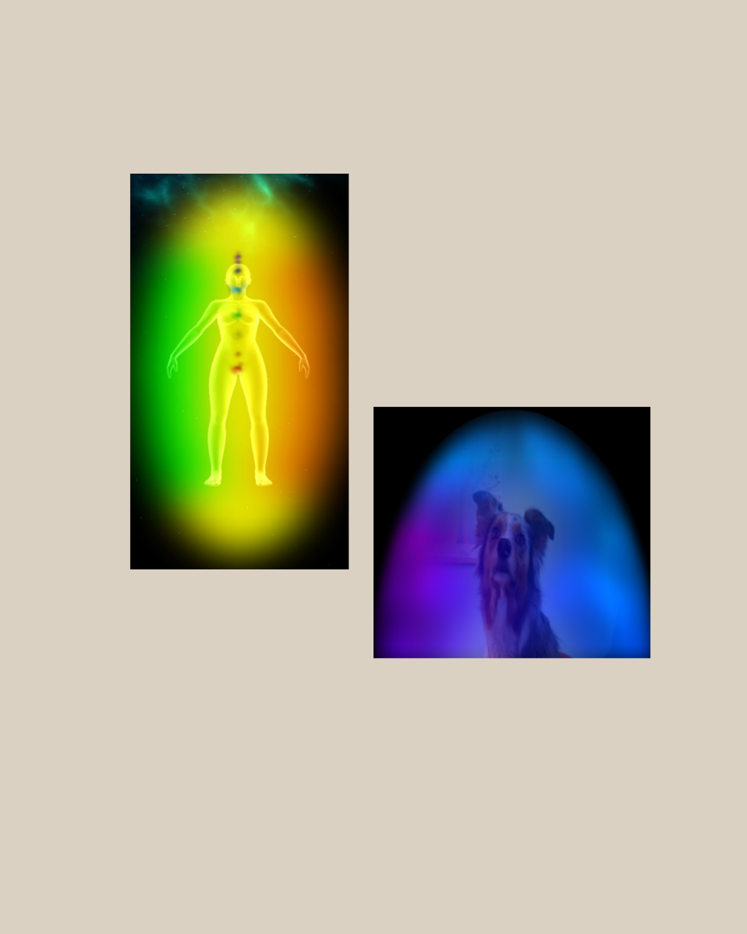 Aura Analyse für Mensch & Hund