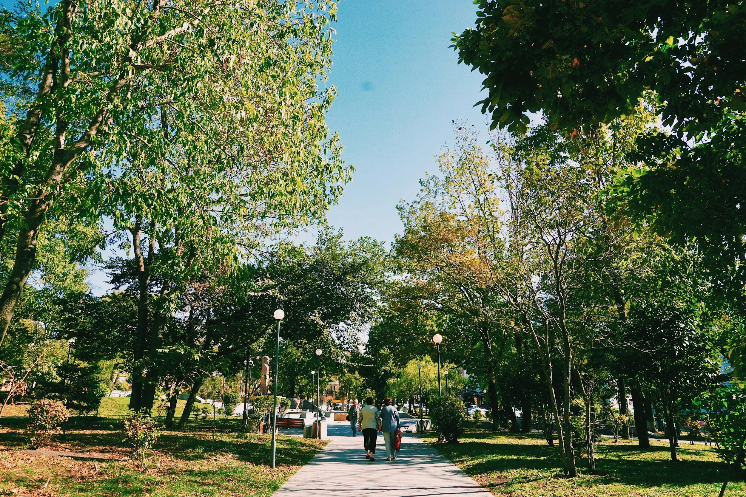 Two people walking on a paved path through a park with trees and lamp posts, with a clear blue sky overhead.