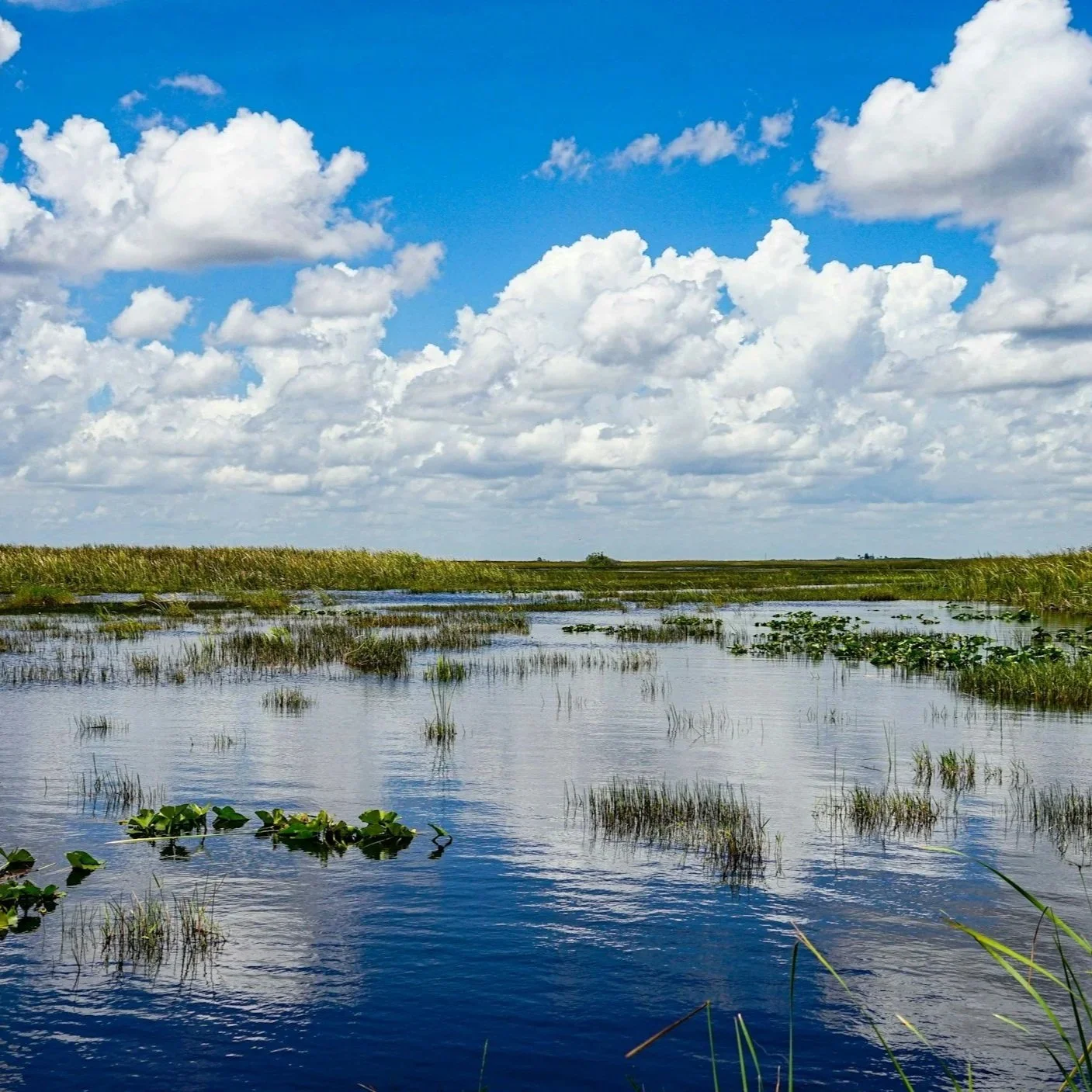 Florida Environmental Priorities Centered Around Water, Everglades