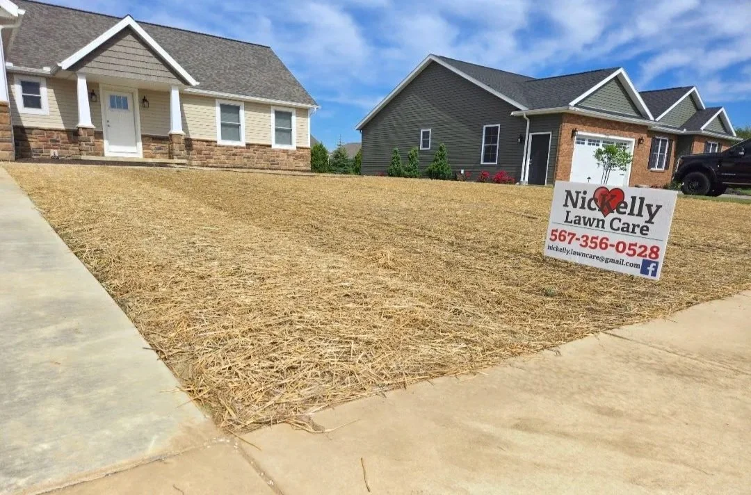 new yard installation grading and seeding