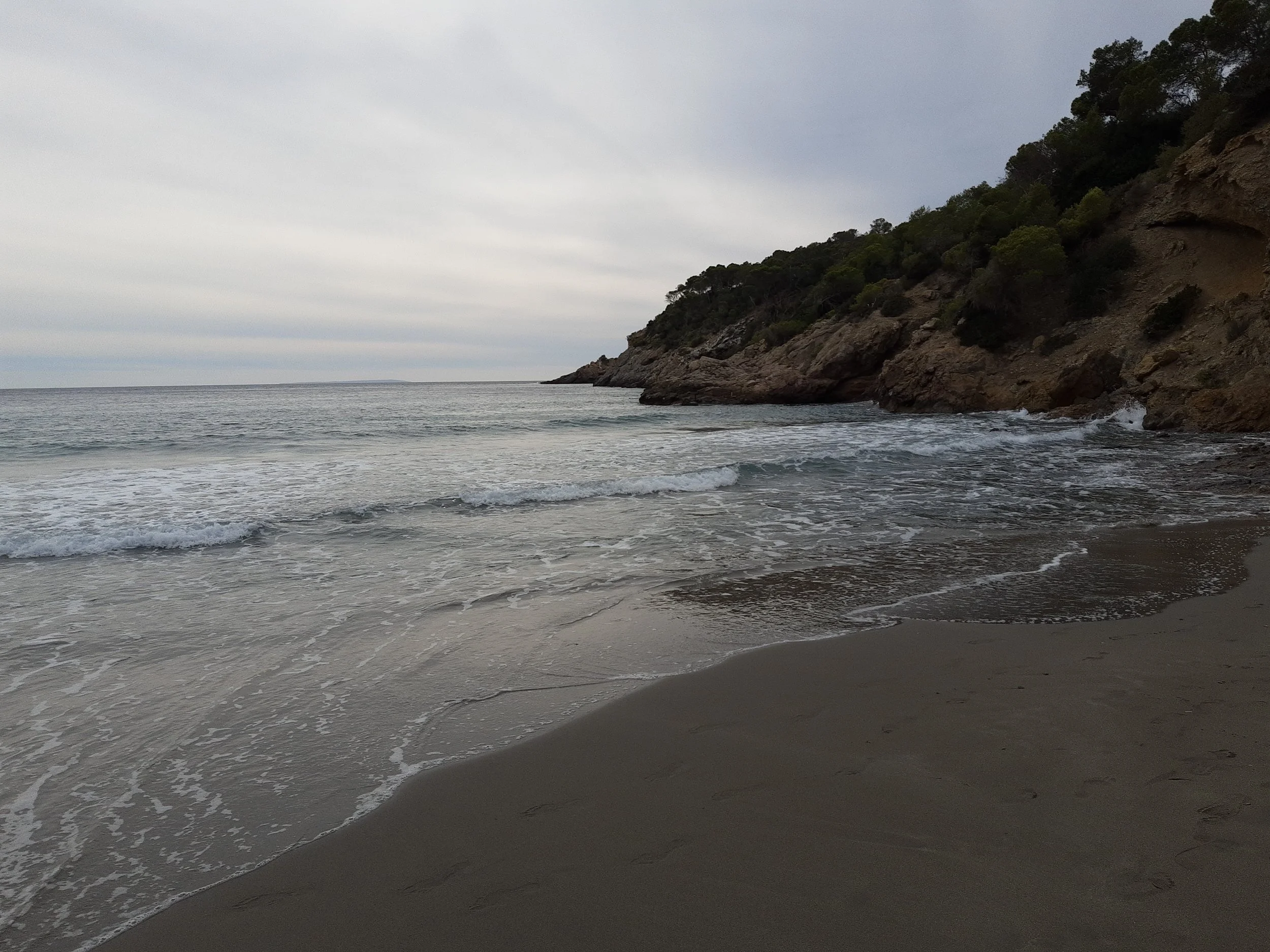 A sandy cove on the coast of Ibiza, with waves rolling in and a rocky wooded headland beyond
