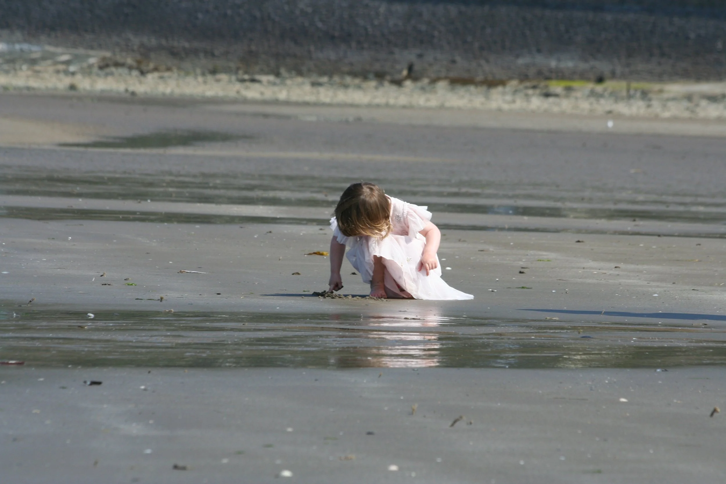 A toddler playing on wet sand