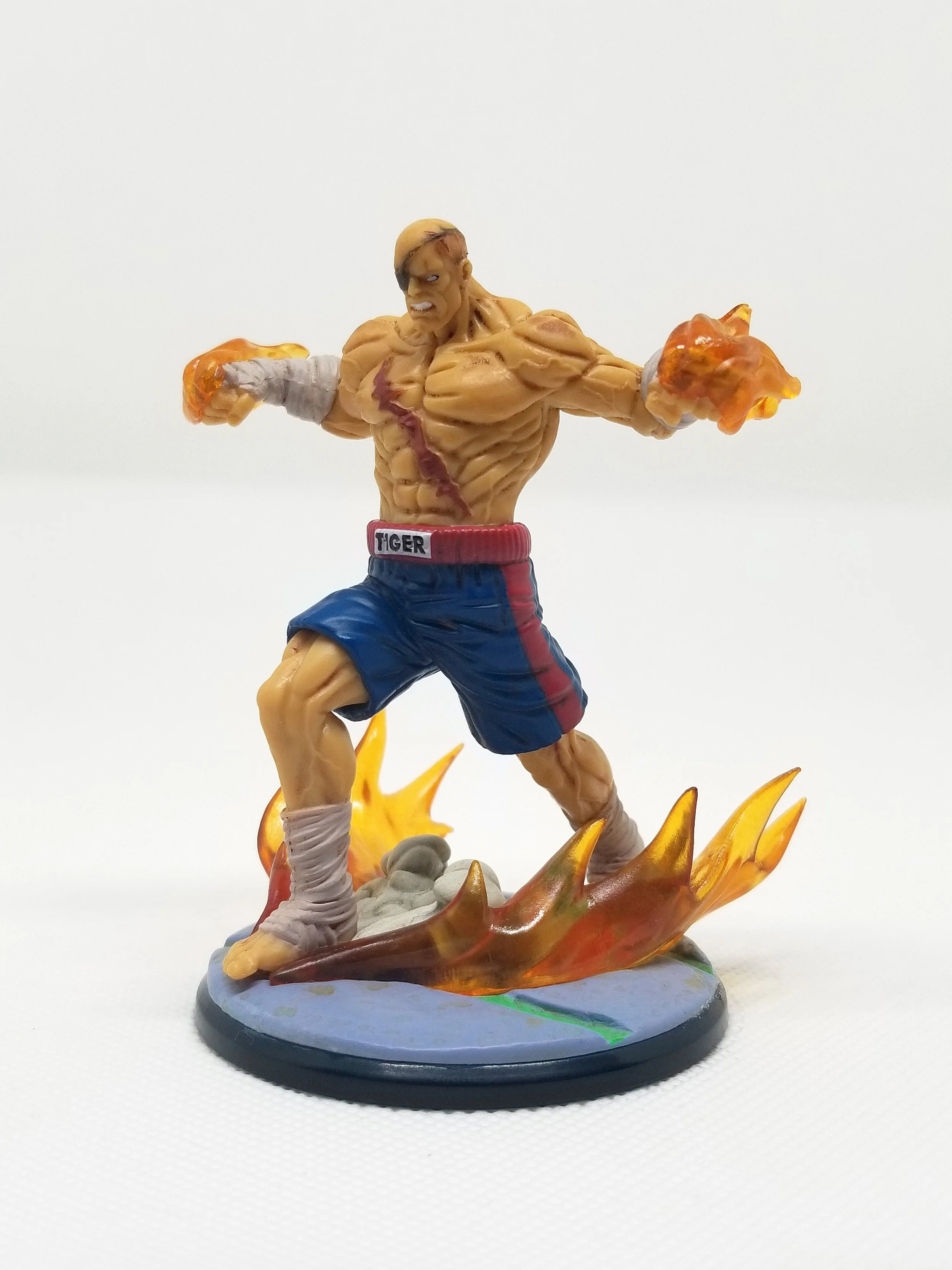 Sagat3.jpg