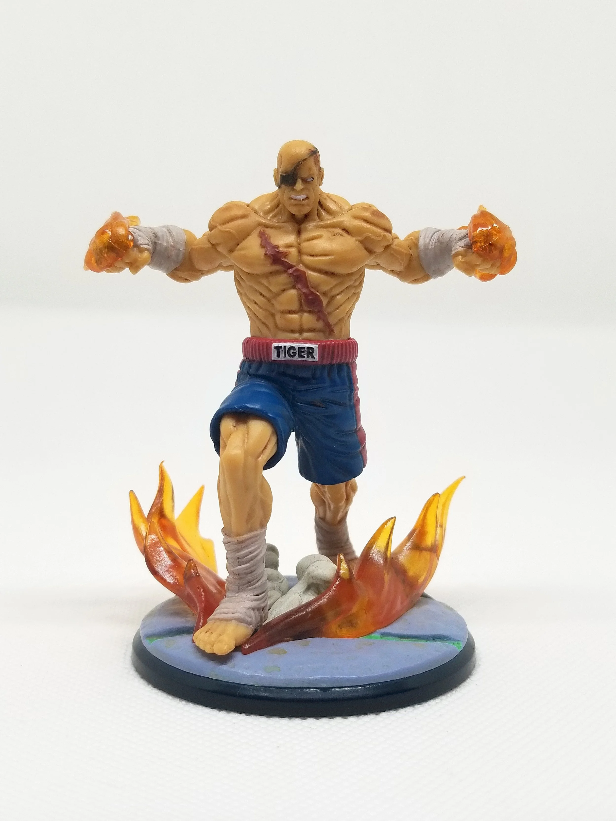 Sagat2.jpg