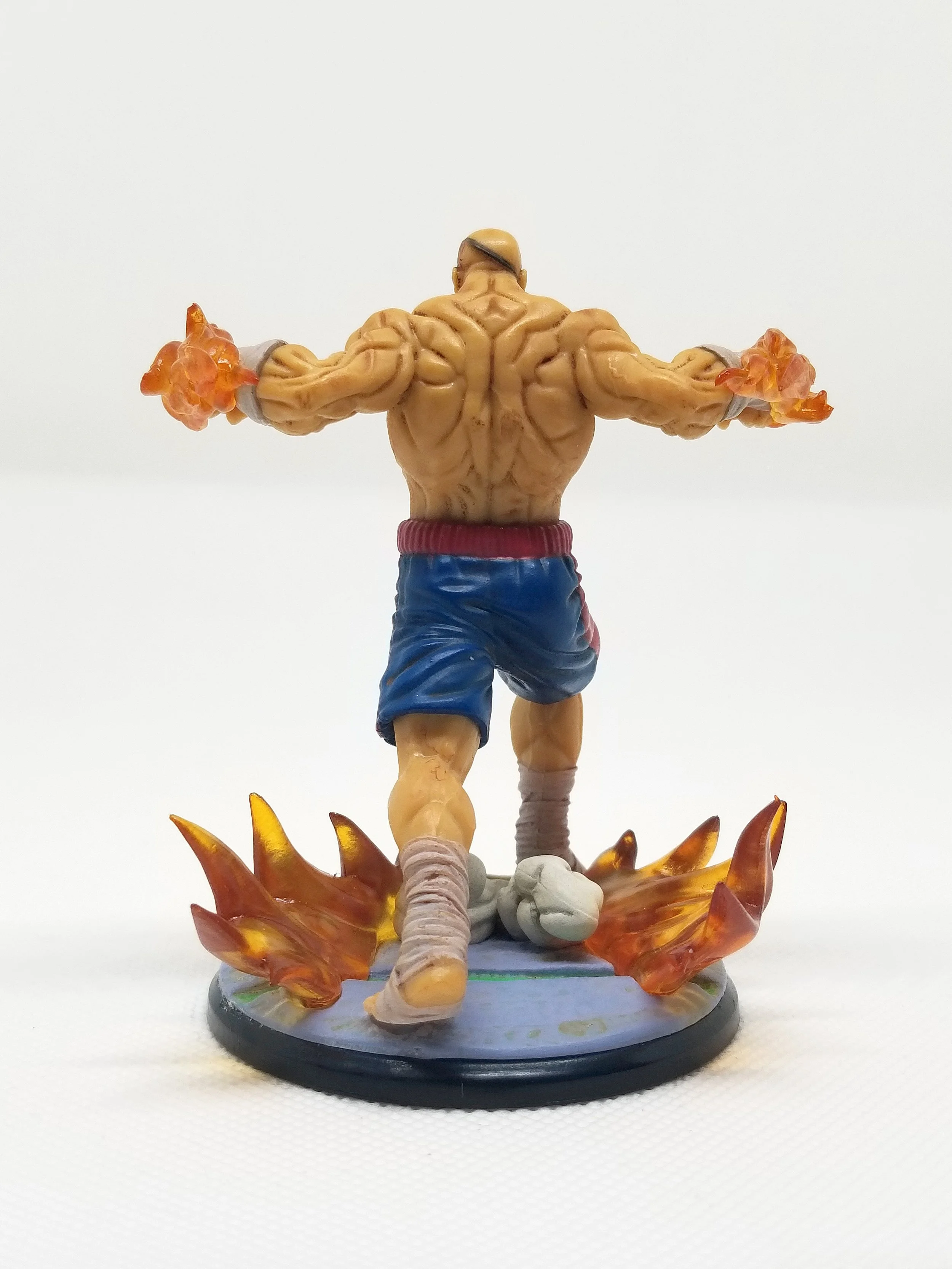 Sagat6.jpg