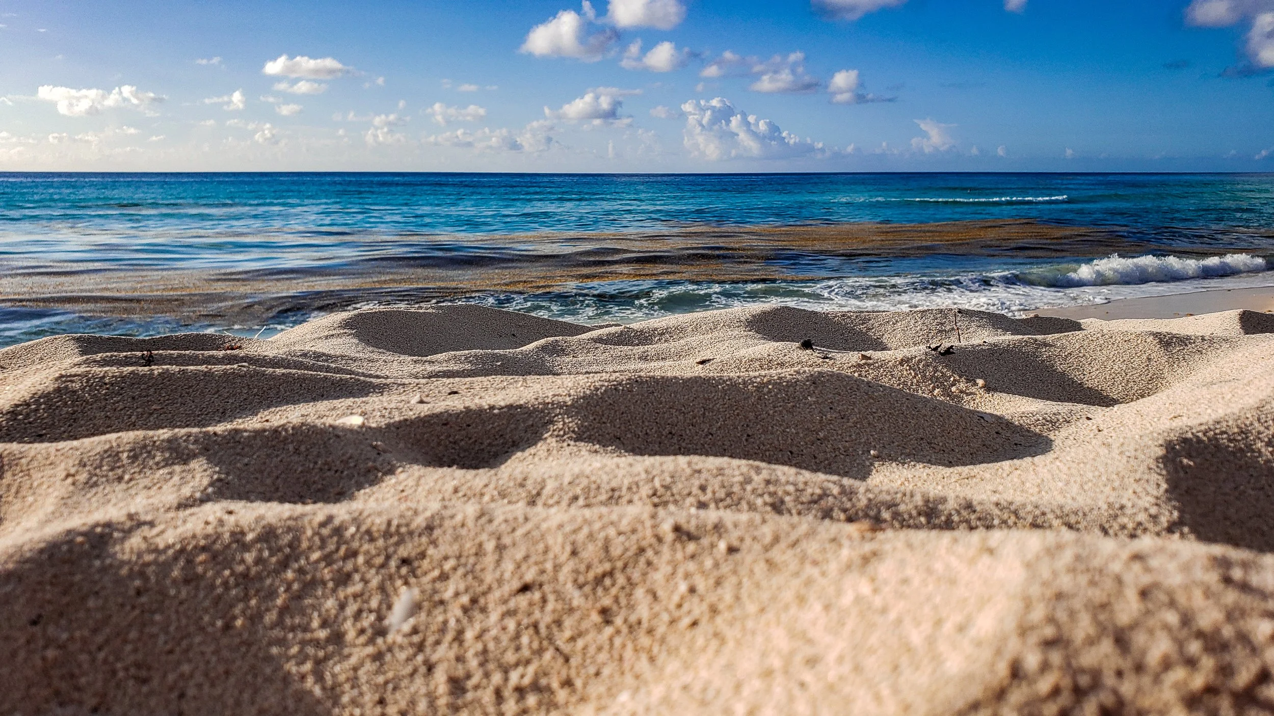 Fotografía de Naturaleza - Pizza Play 06.jpg