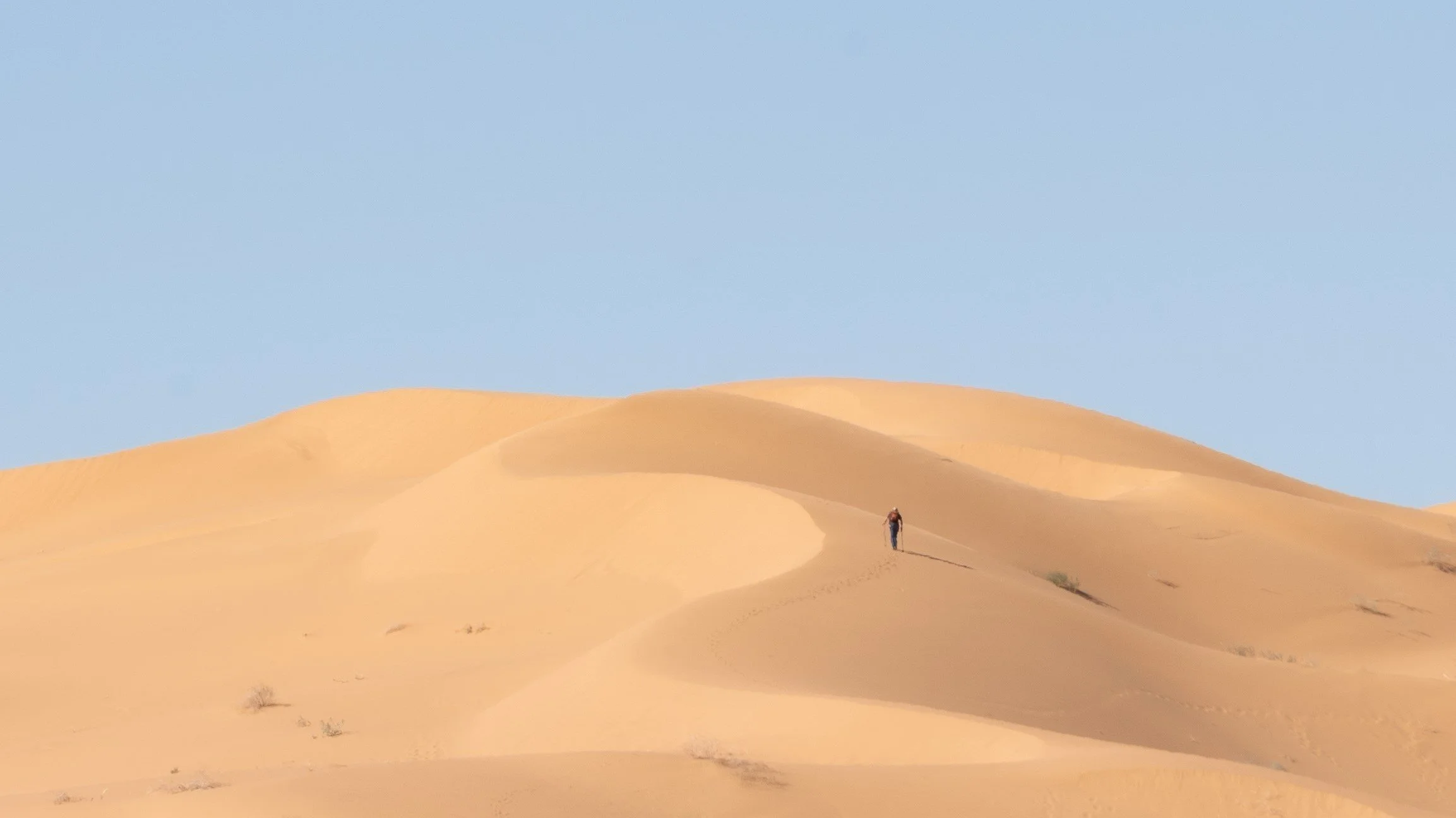 Fotografía de Naturaleza - Pizza Play 02.jpg