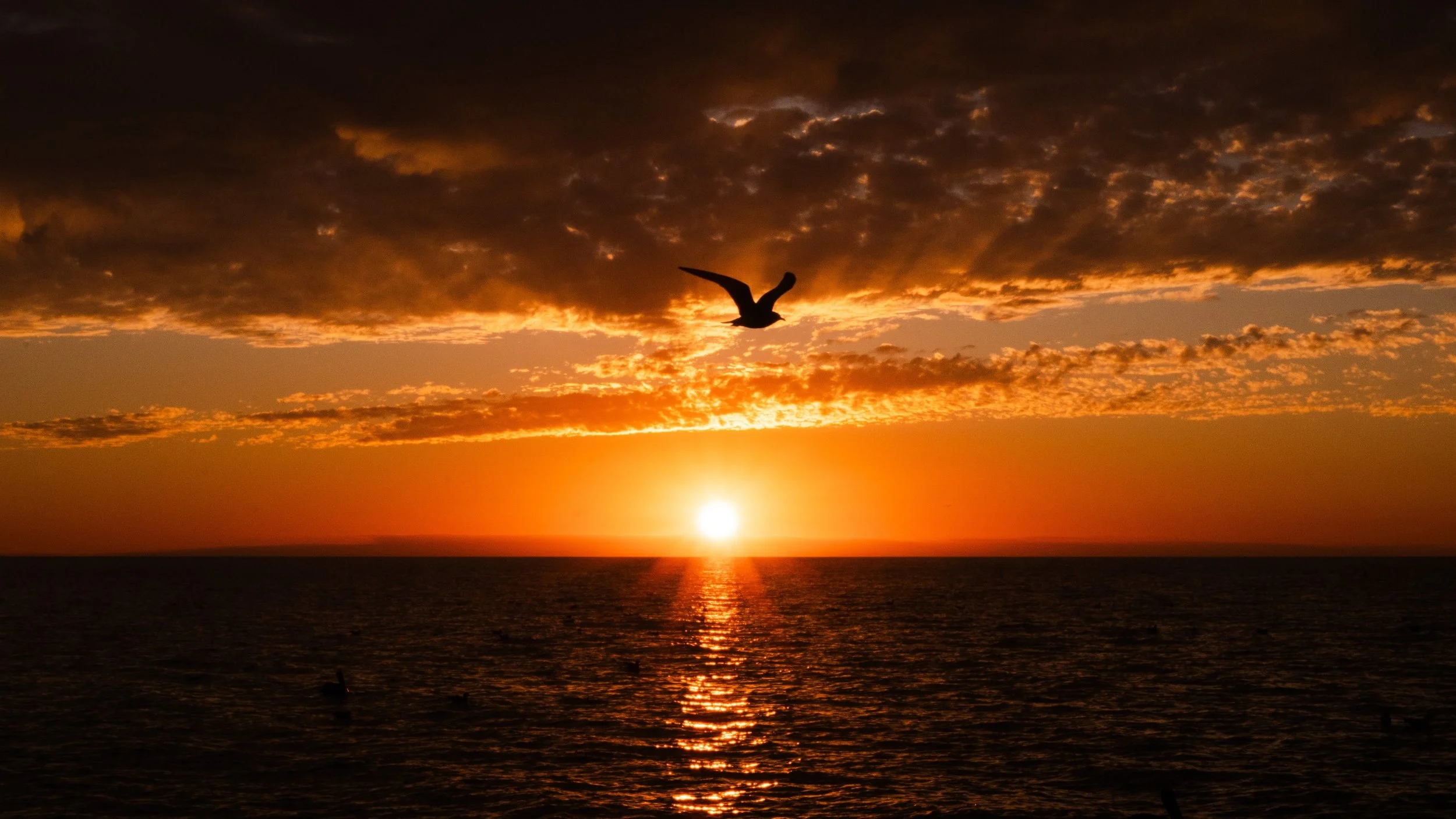 Fotografía de Naturaleza - Pizza Play 04.jpg