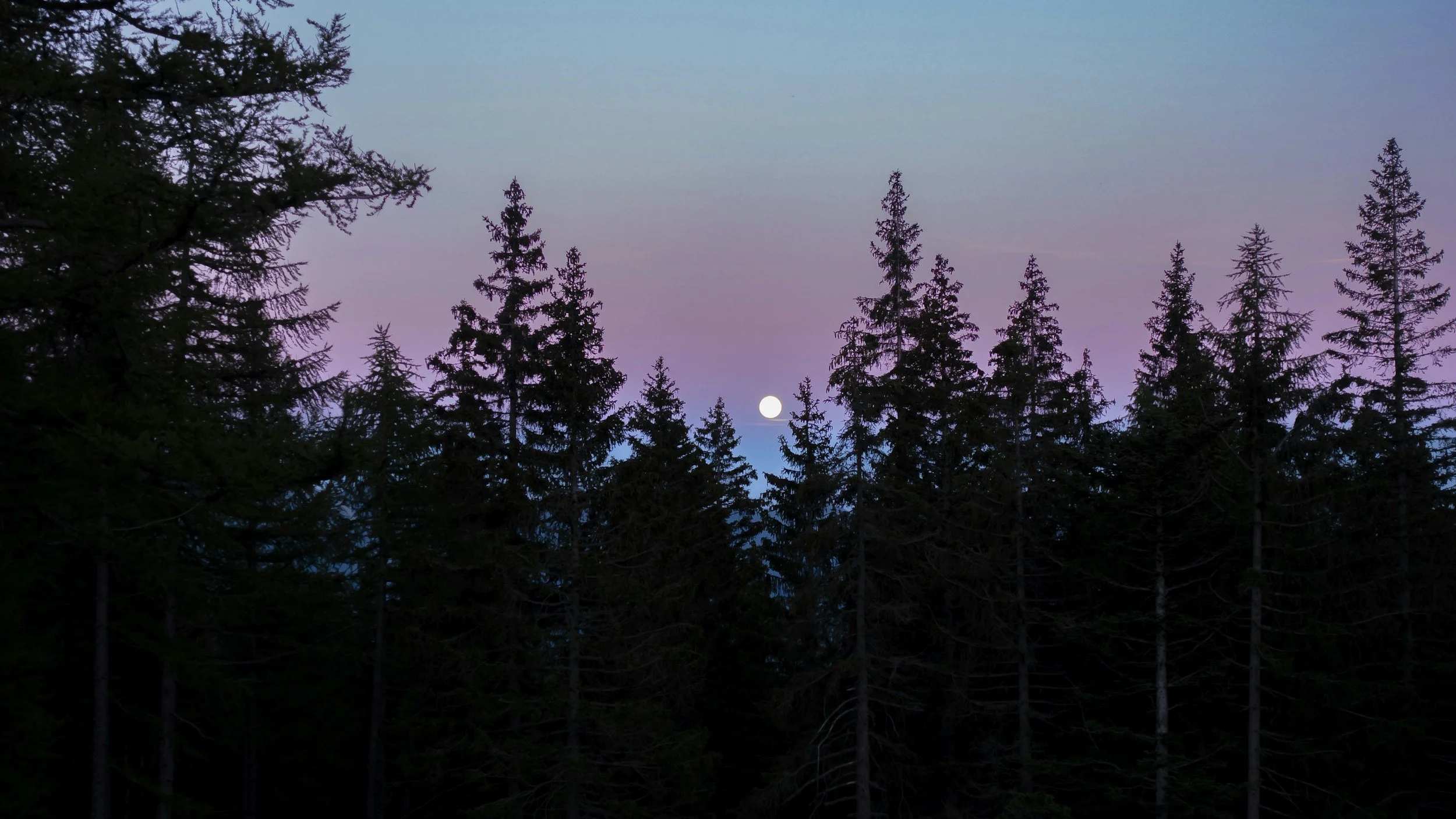 World Service Meditation