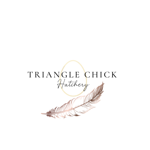 Triangle Chick Hatchery