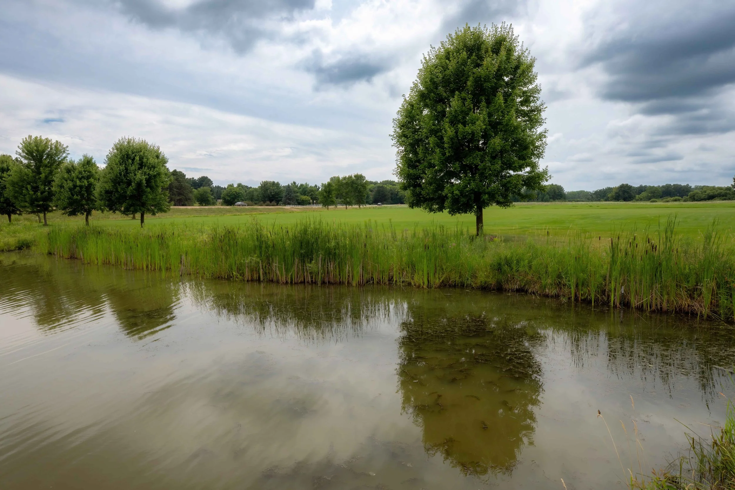 A landscape of a green field by a pond lined by trees with gray clouds in Westport Wisconsin.