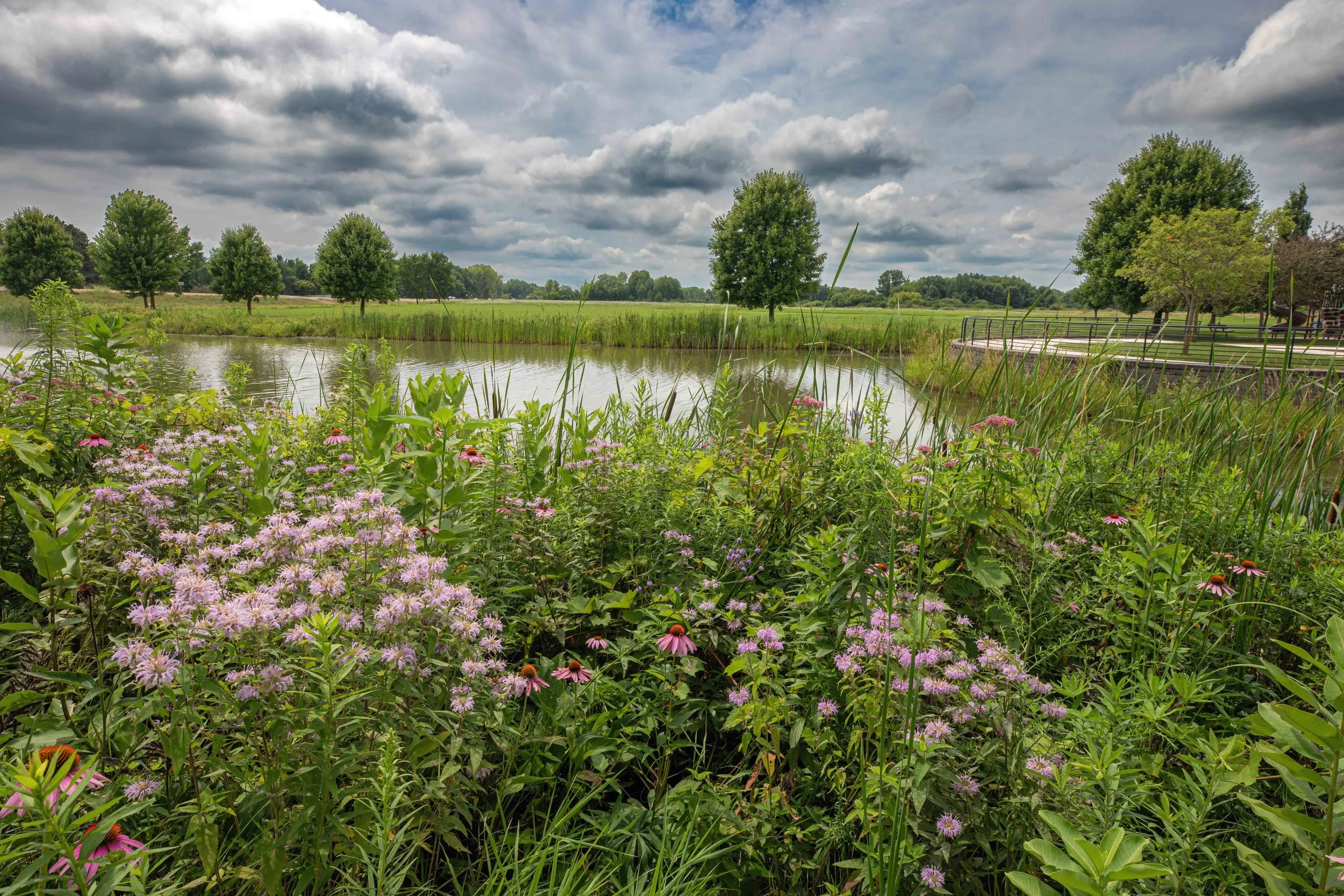 A scenic landscape featuring a pond with pink and purple wildflowers in the foreground, green grassy fields, several tall trees, and a cloudy sky overhead at Westport Wisconsin photo by Mark Weller.